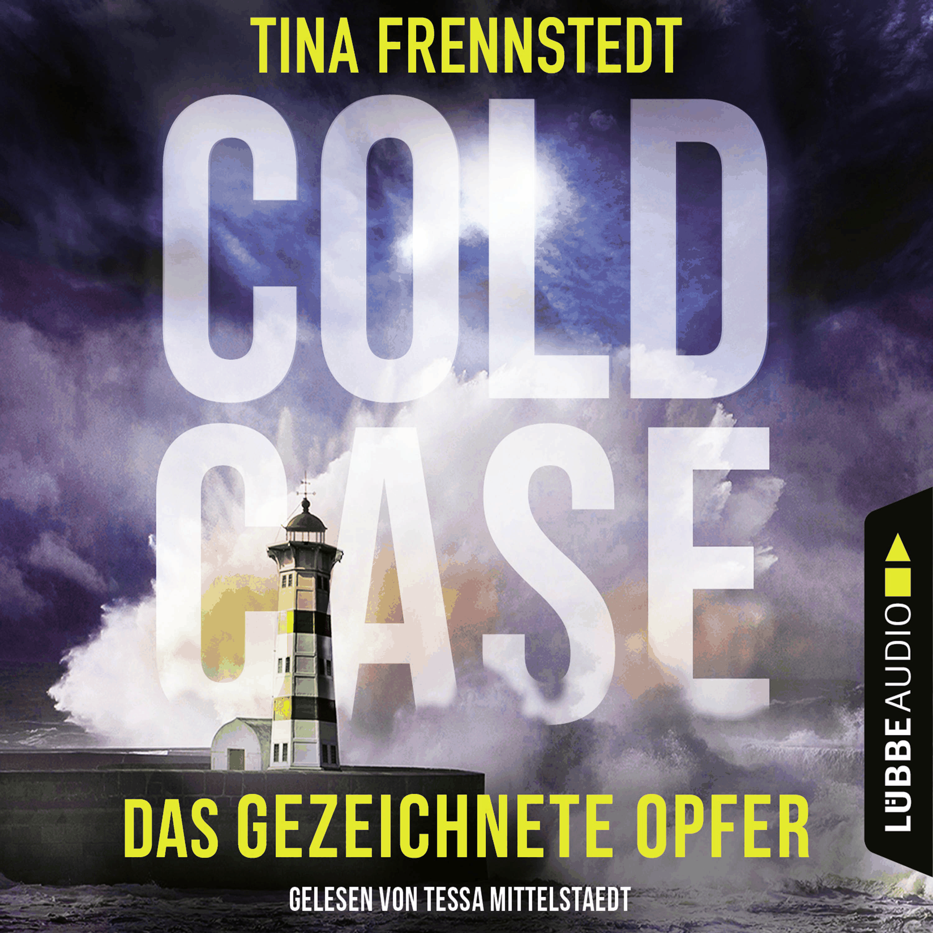 Das gezeichnete Opfer - Cold Case 2