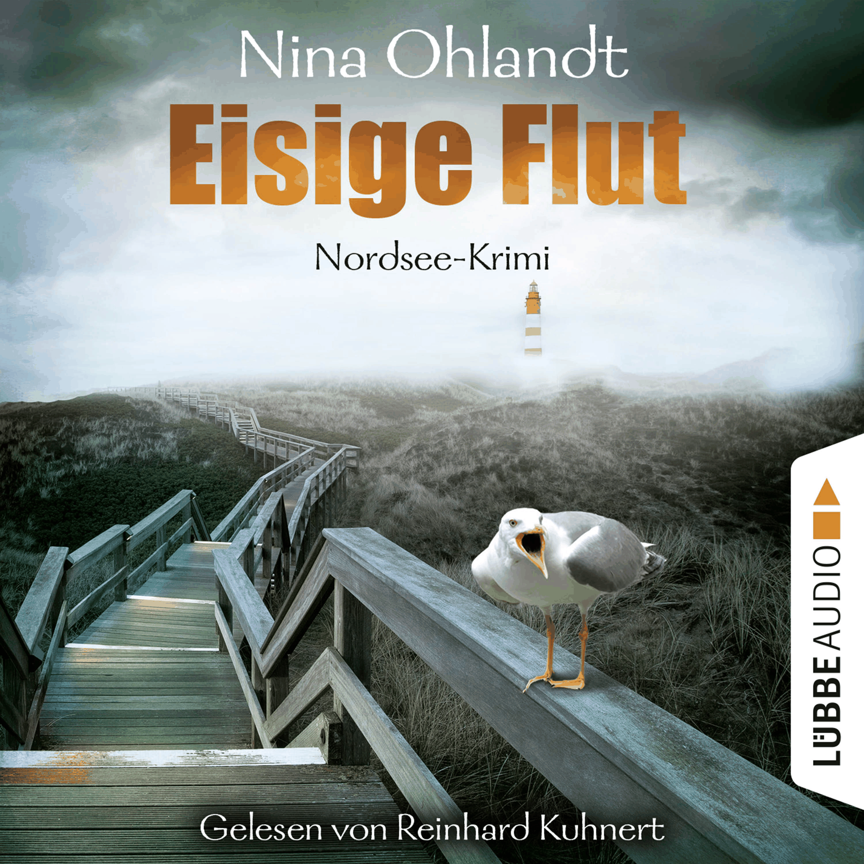 Eisige Flut - John Benthiens fünfter Fall - Hauptkommissar John Benthien, Band 5