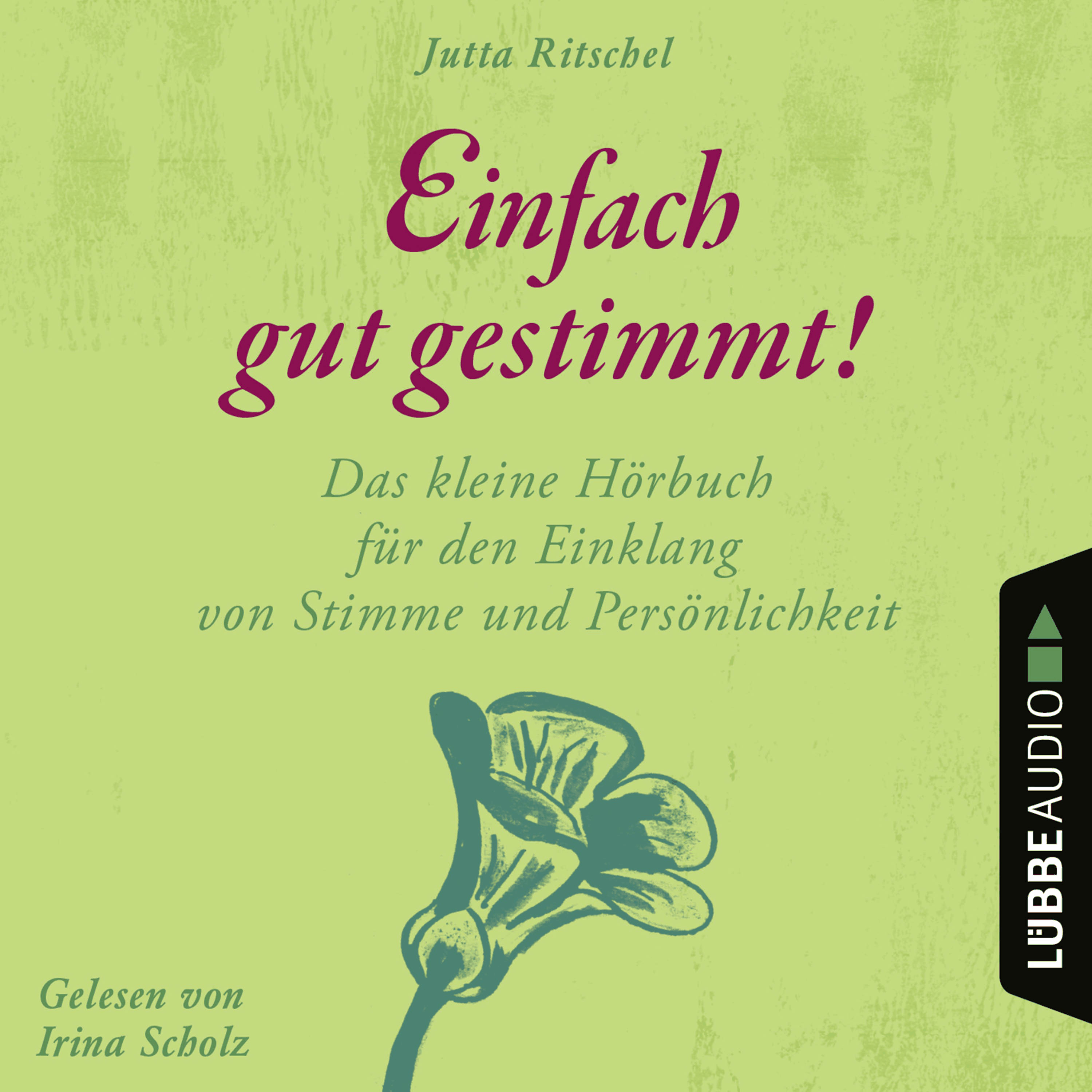 Einfach gut gestimmt! - Das kleine Hörbuch für den Einklang von Stimme und Persönlichkeit