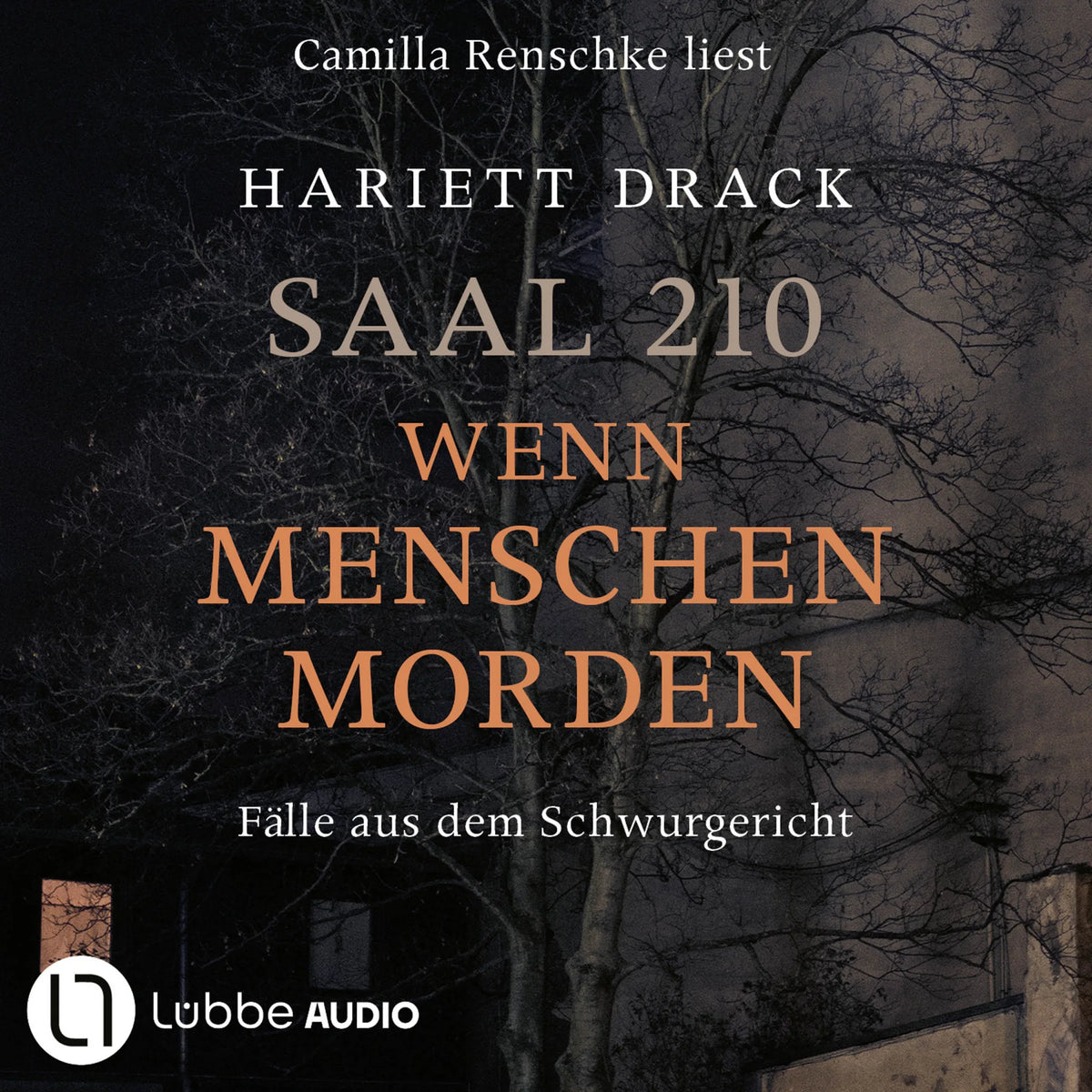 Saal 210 - Wenn Menschen morden - Fälle aus dem Schwurgericht