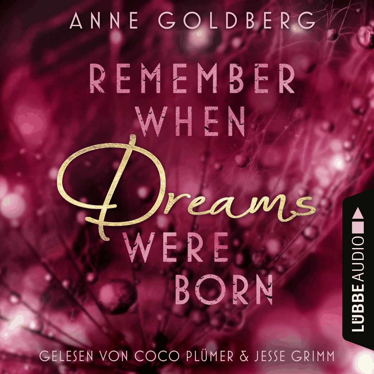 Remember when Dreams were born - Second Chances, Teil 1