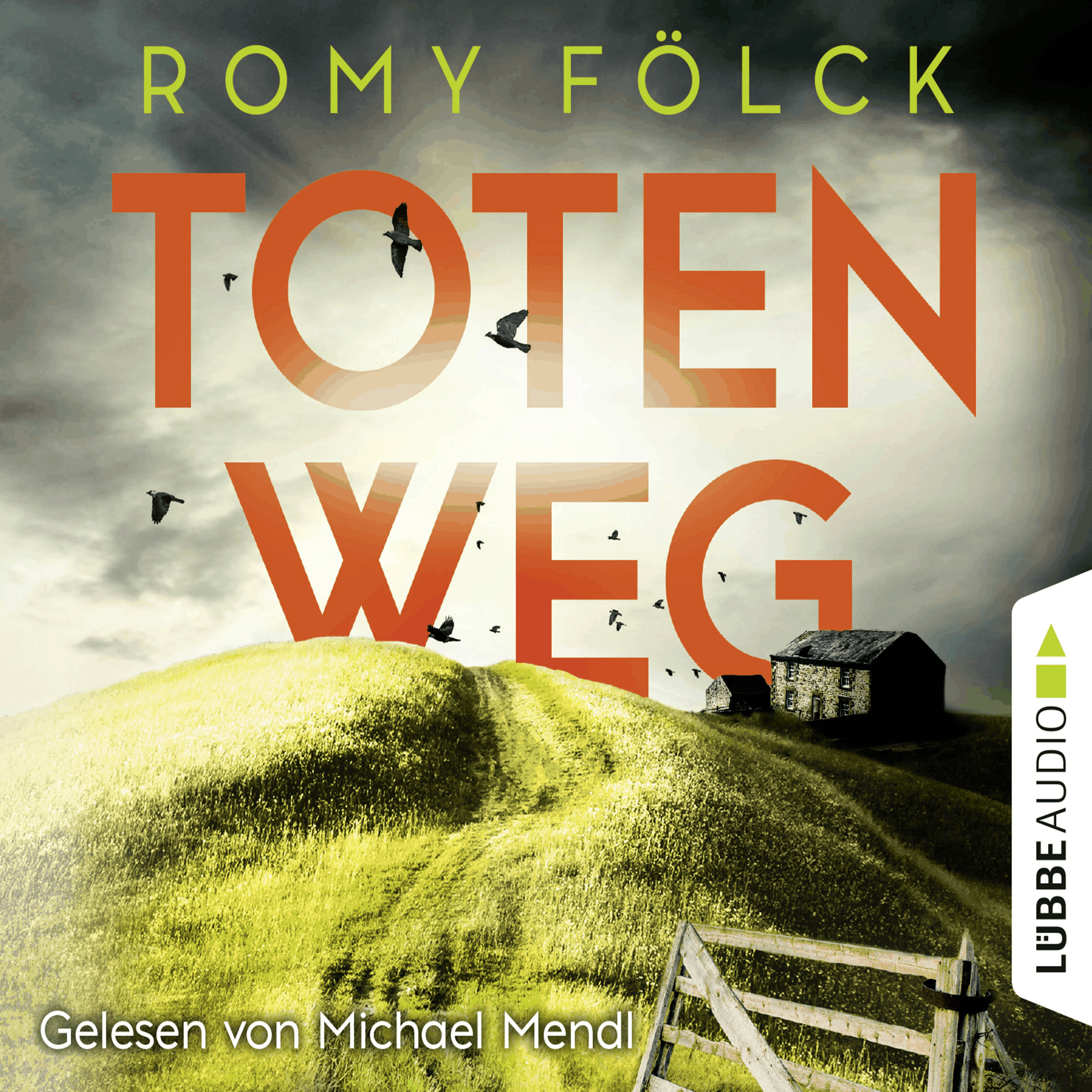 Totenweg - Elbmarsch-Krimi, Teil 1