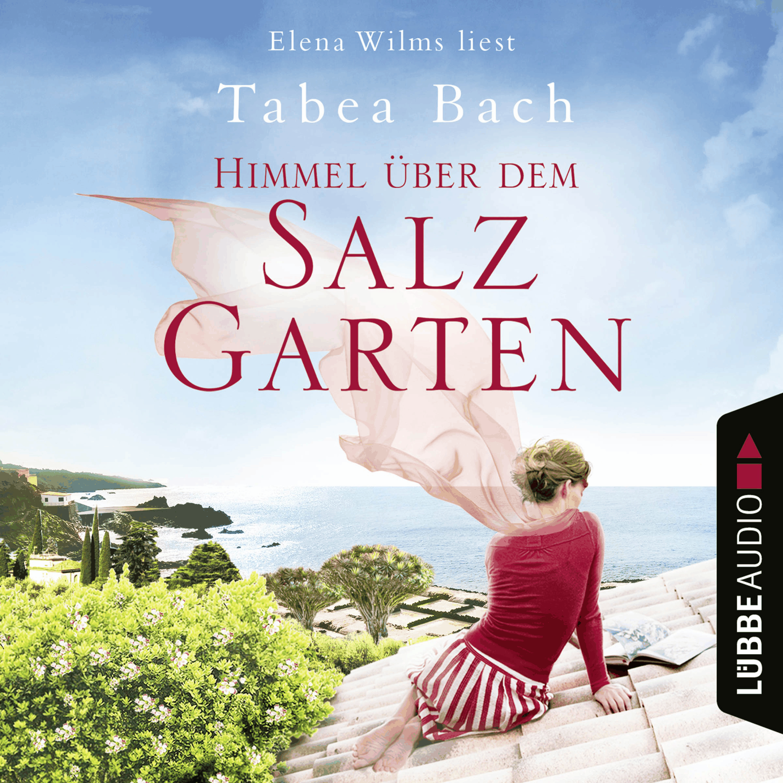 Himmel über dem Salzgarten - Salzgarten-Saga, Teil 2