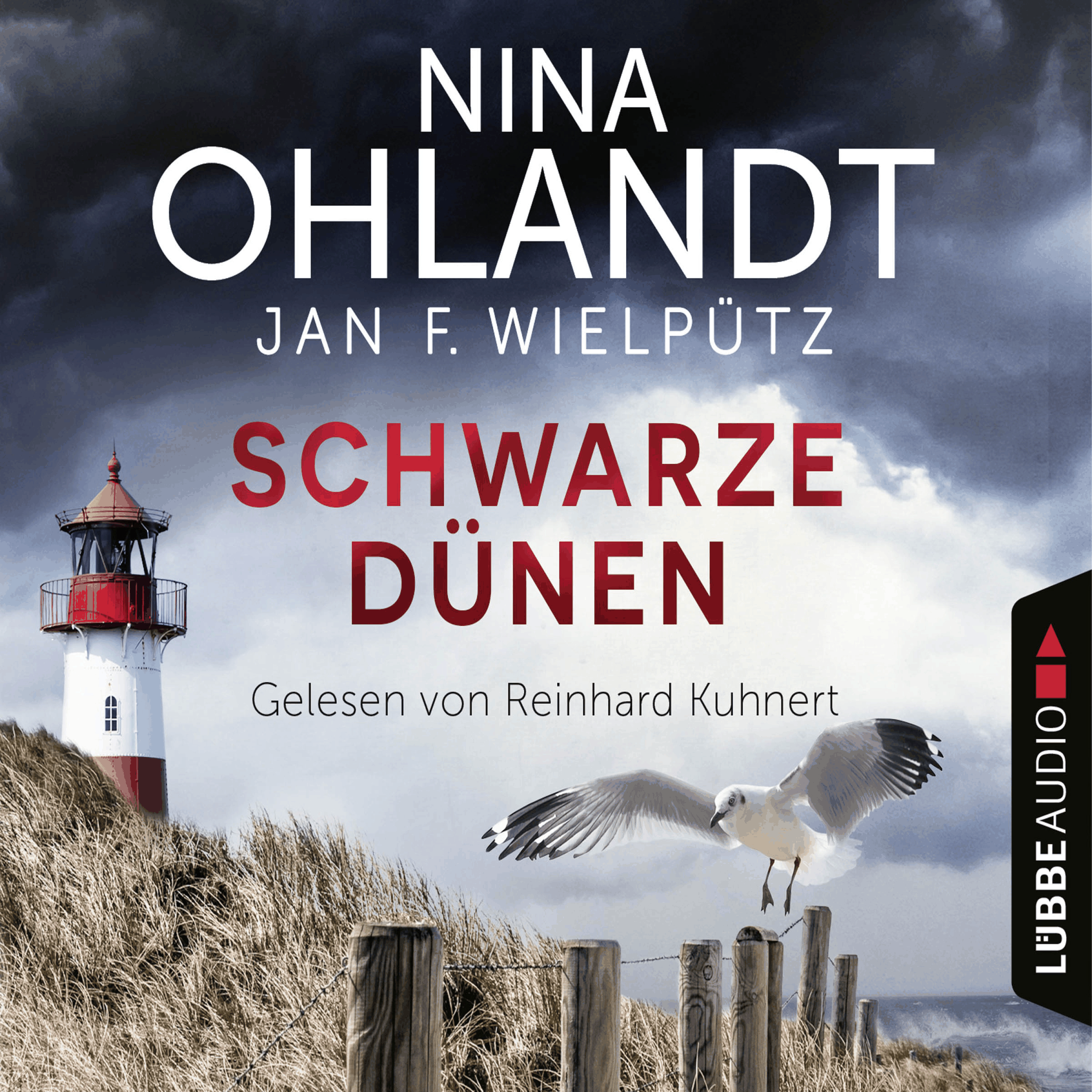 Schwarze Dünen - John Benthiens neunter Fall - Hauptkommissar John Benthien, Teil 9