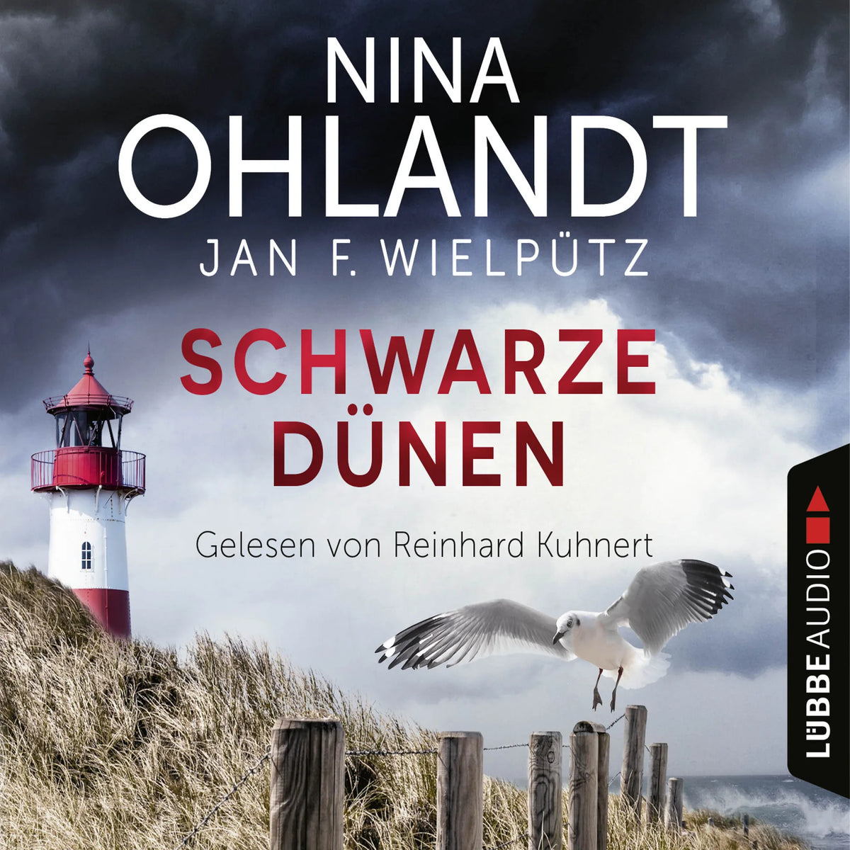 Schwarze Dünen - John Benthiens neunter Fall - Hauptkommissar John Benthien, Teil 9