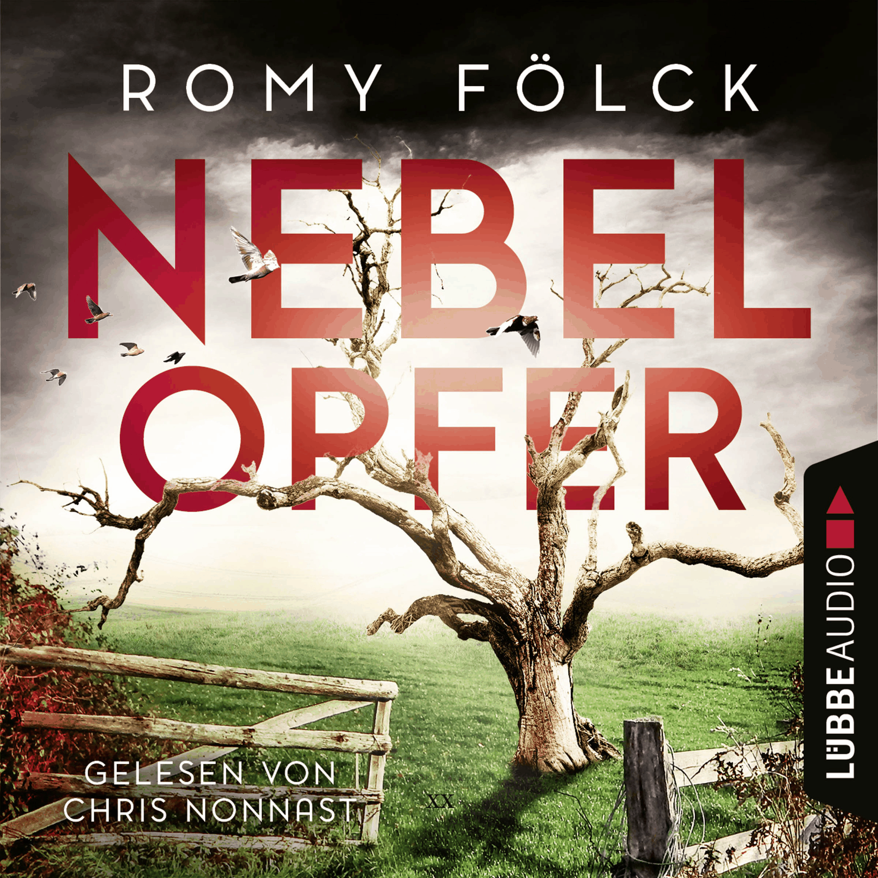 Nebelopfer - Elbmarsch-Krimi, Teil 5
