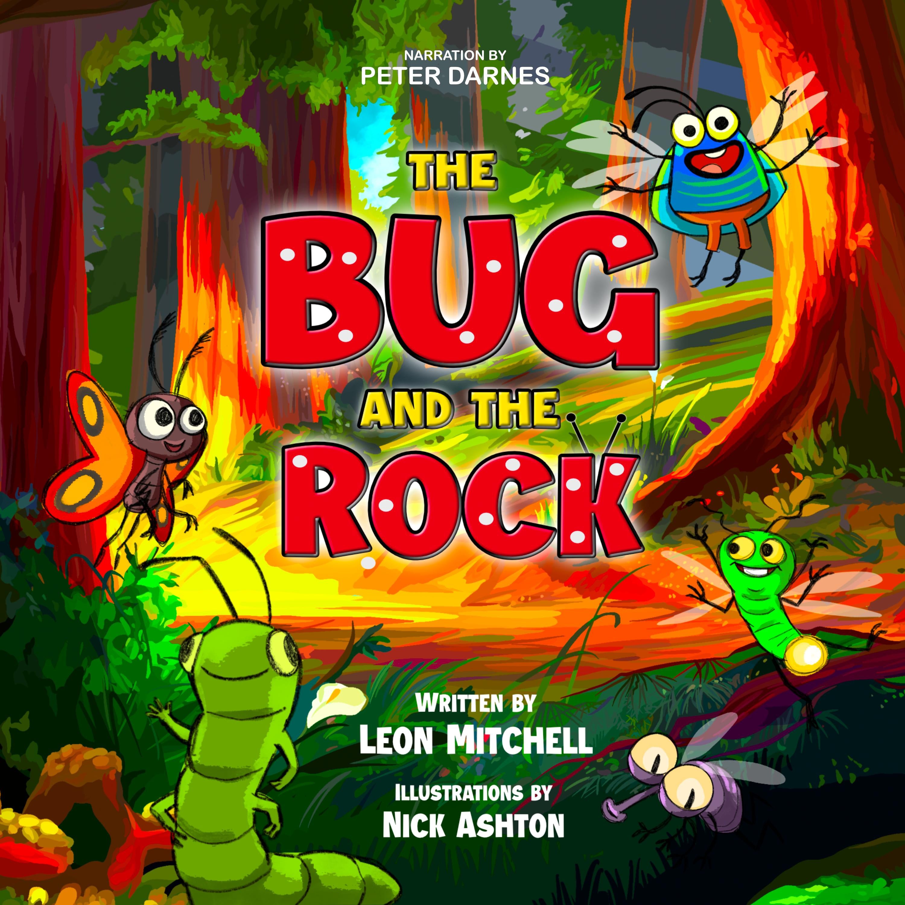 The Bug and the Rock