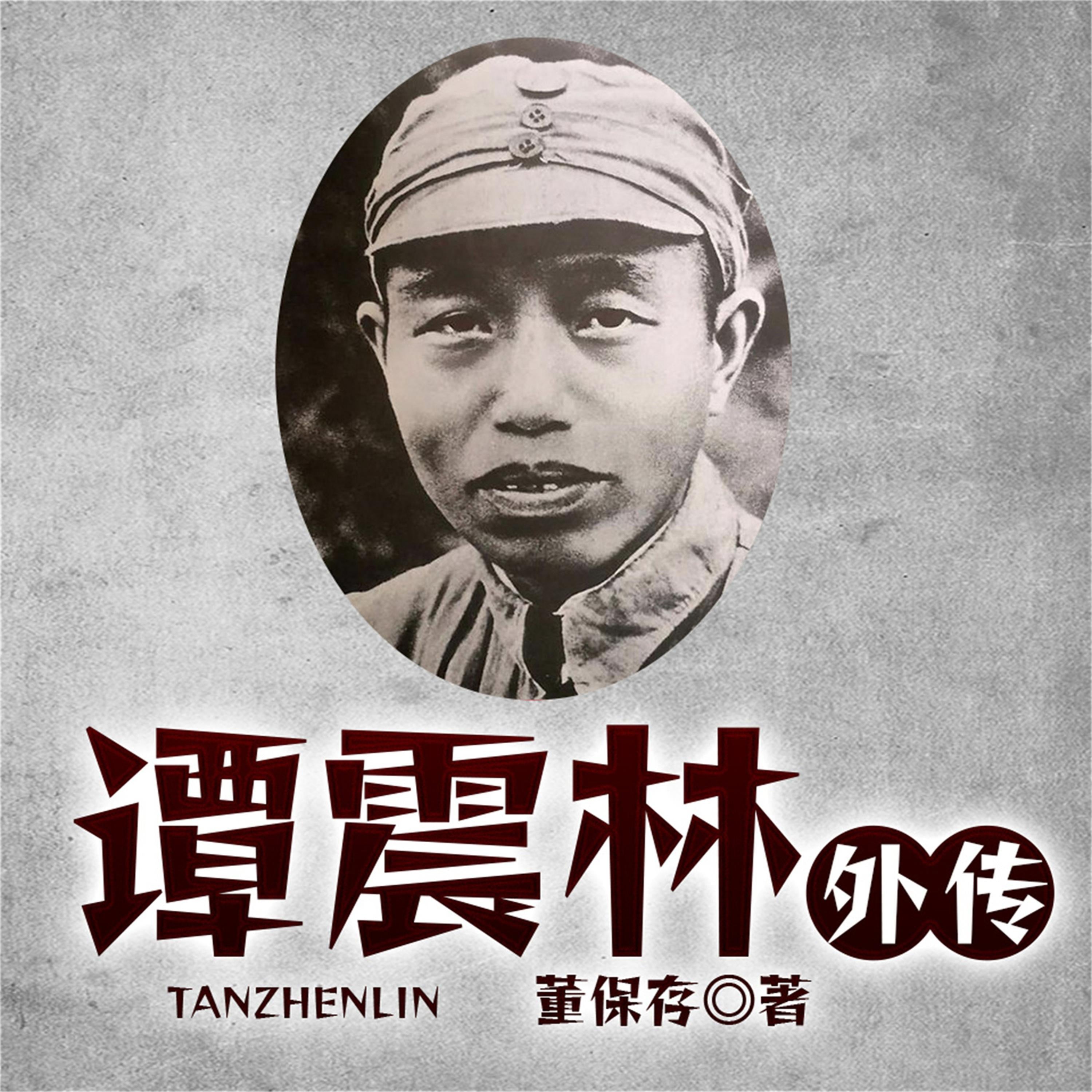 谭震林外传