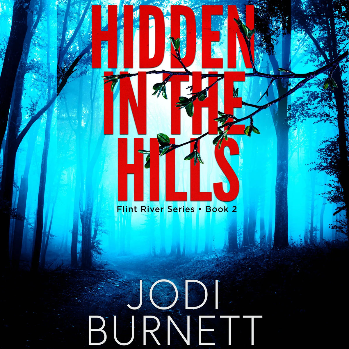 Hidden In The Hills