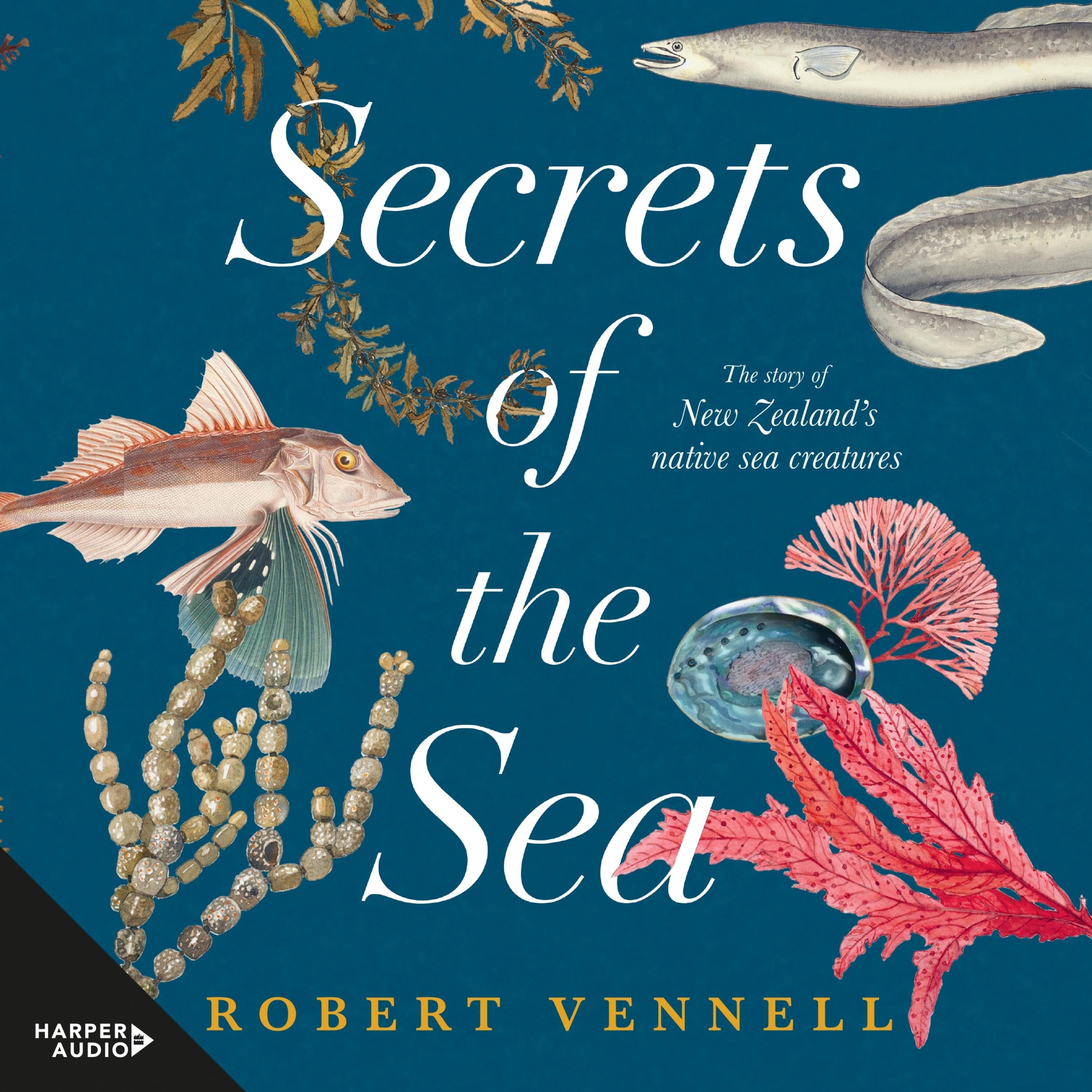 Secrets of the Sea