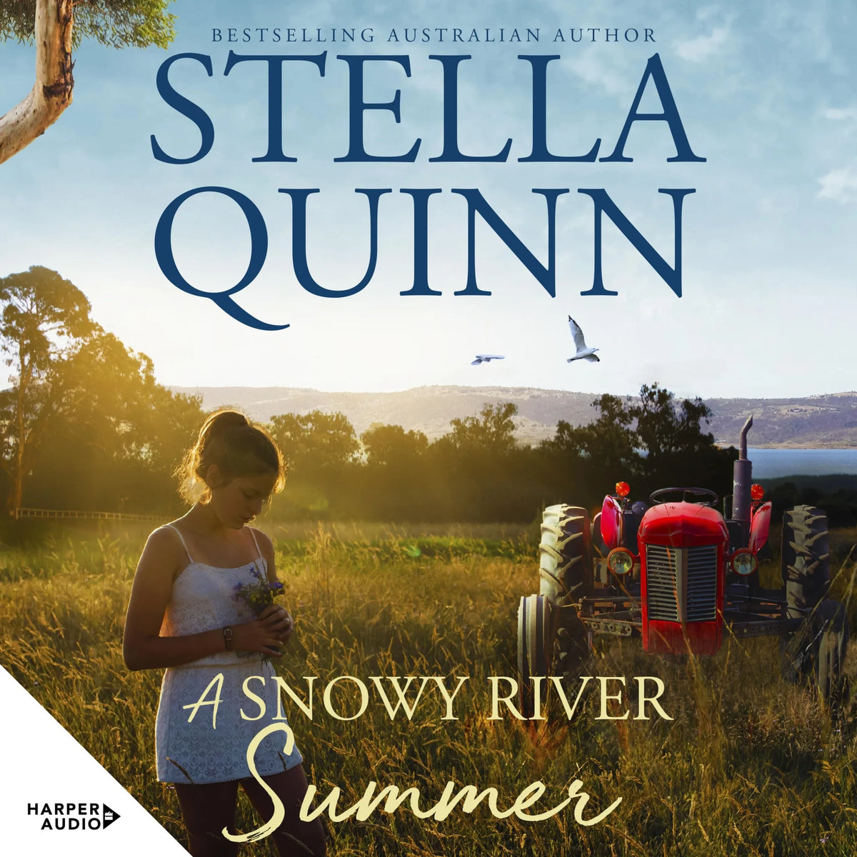 A Snowy River Summer