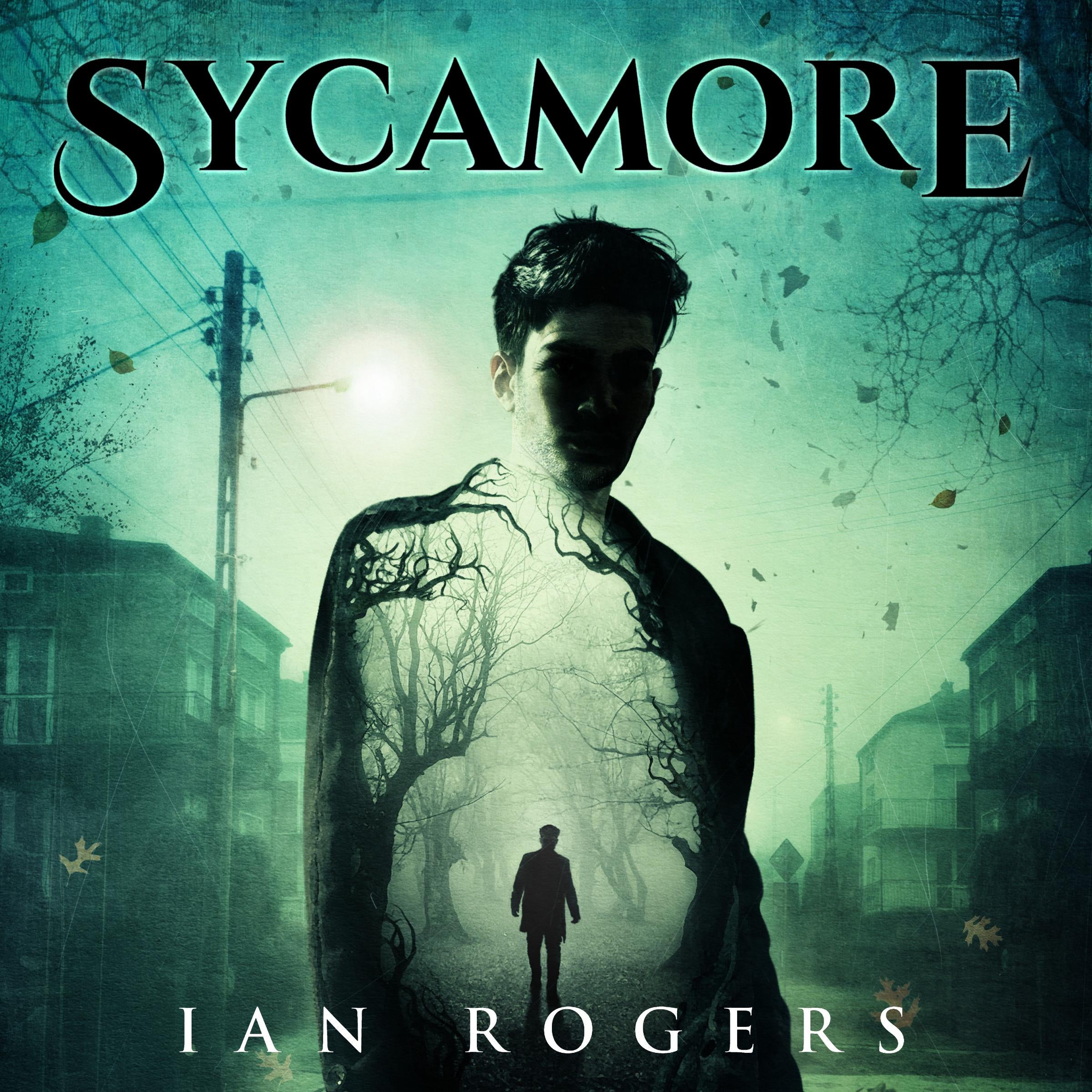 Sycamore