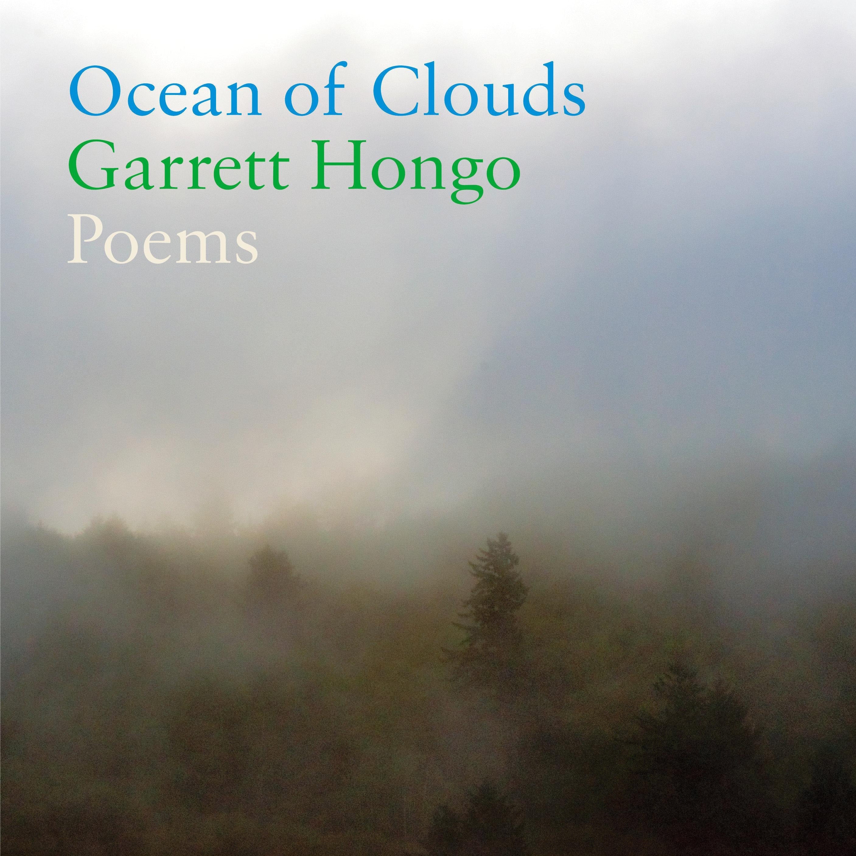 Ocean of Clouds