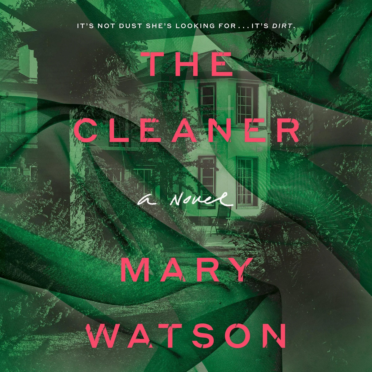 The Cleaner