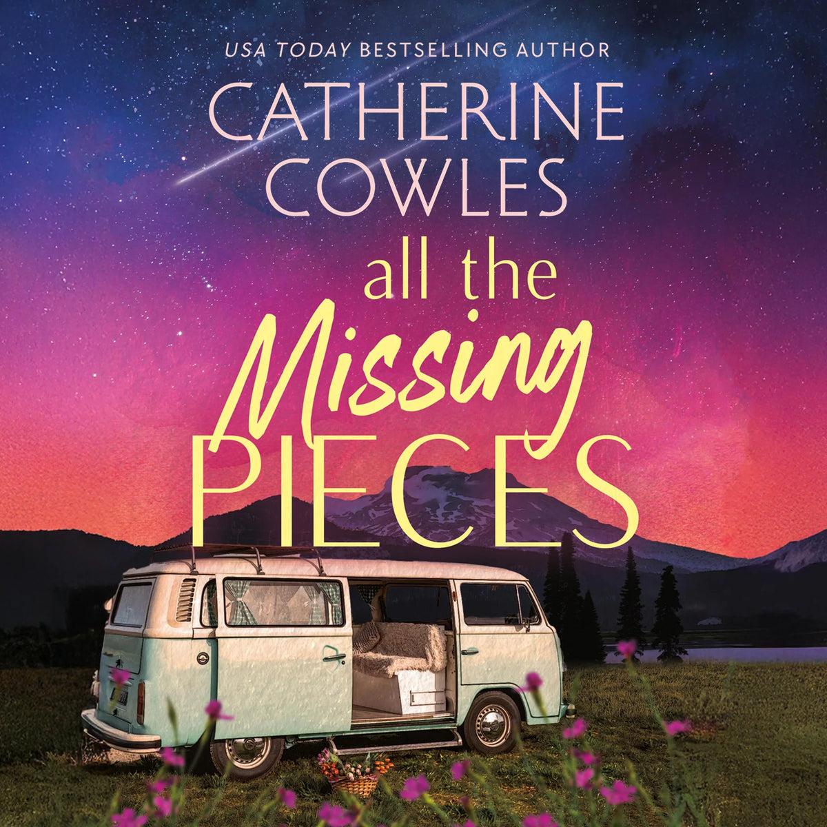 All the Missing Pieces