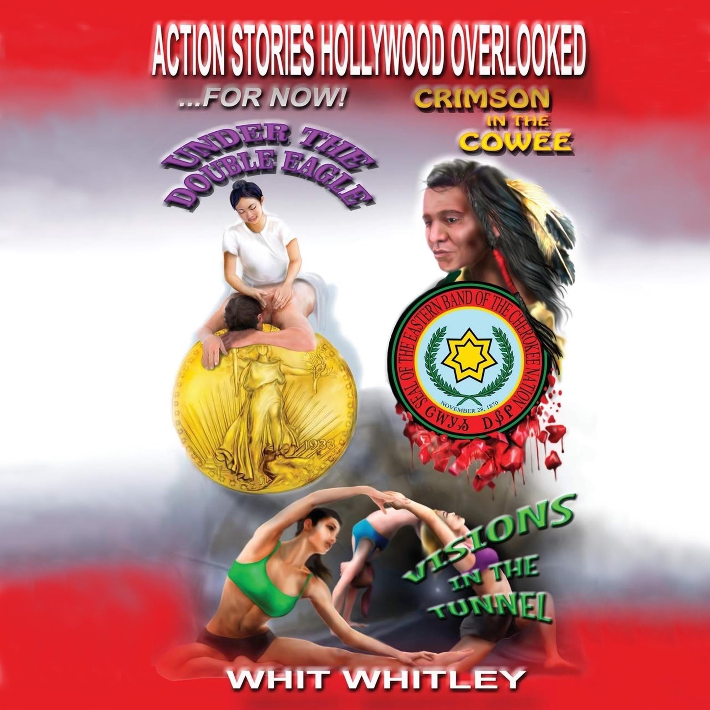 Action Stories Hollywood Overlooked...For Now!