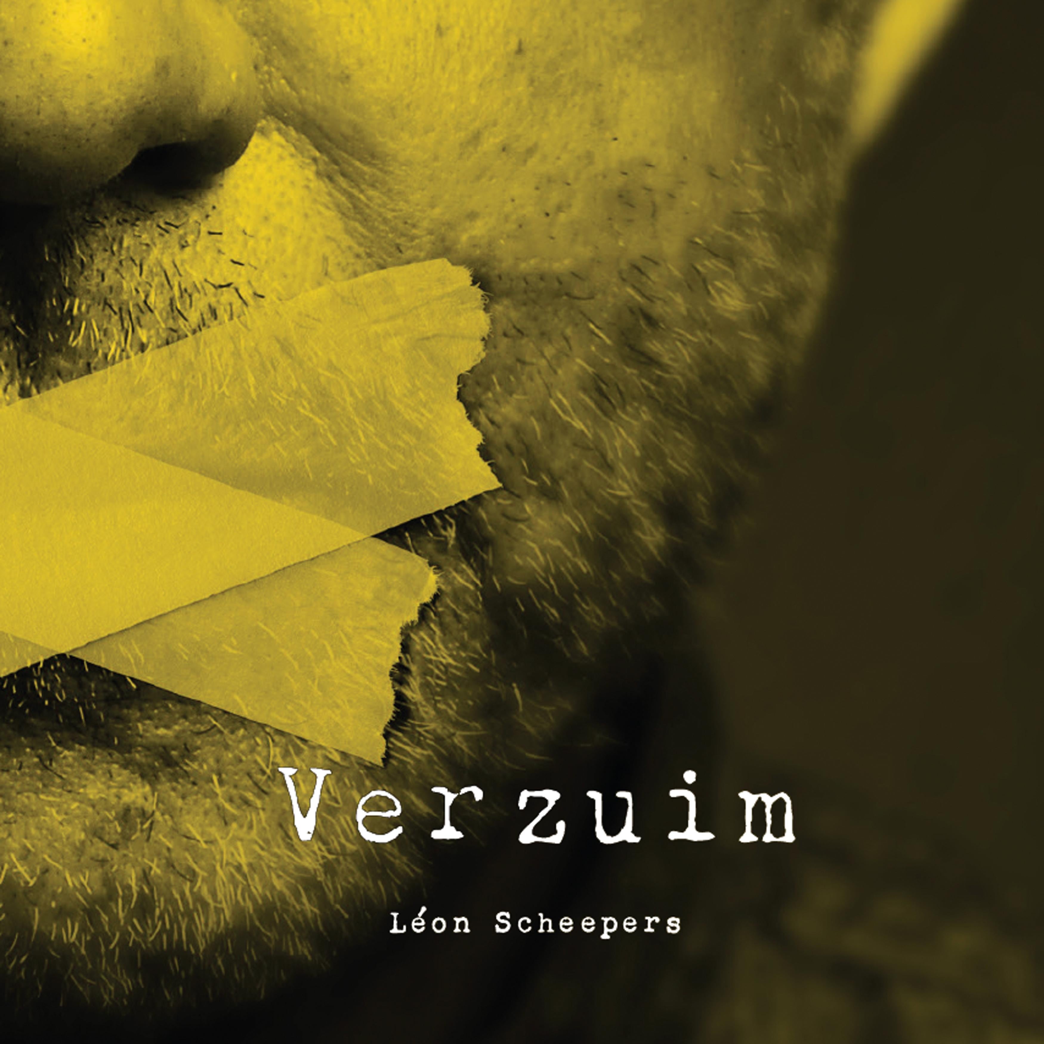 Verzuim