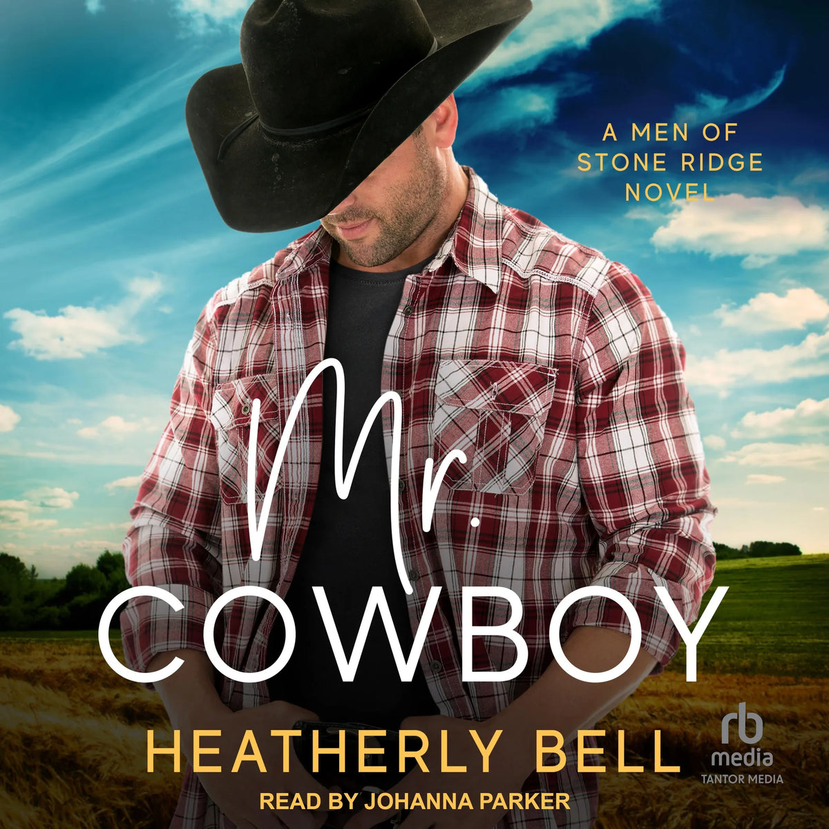 Mr. Cowboy
