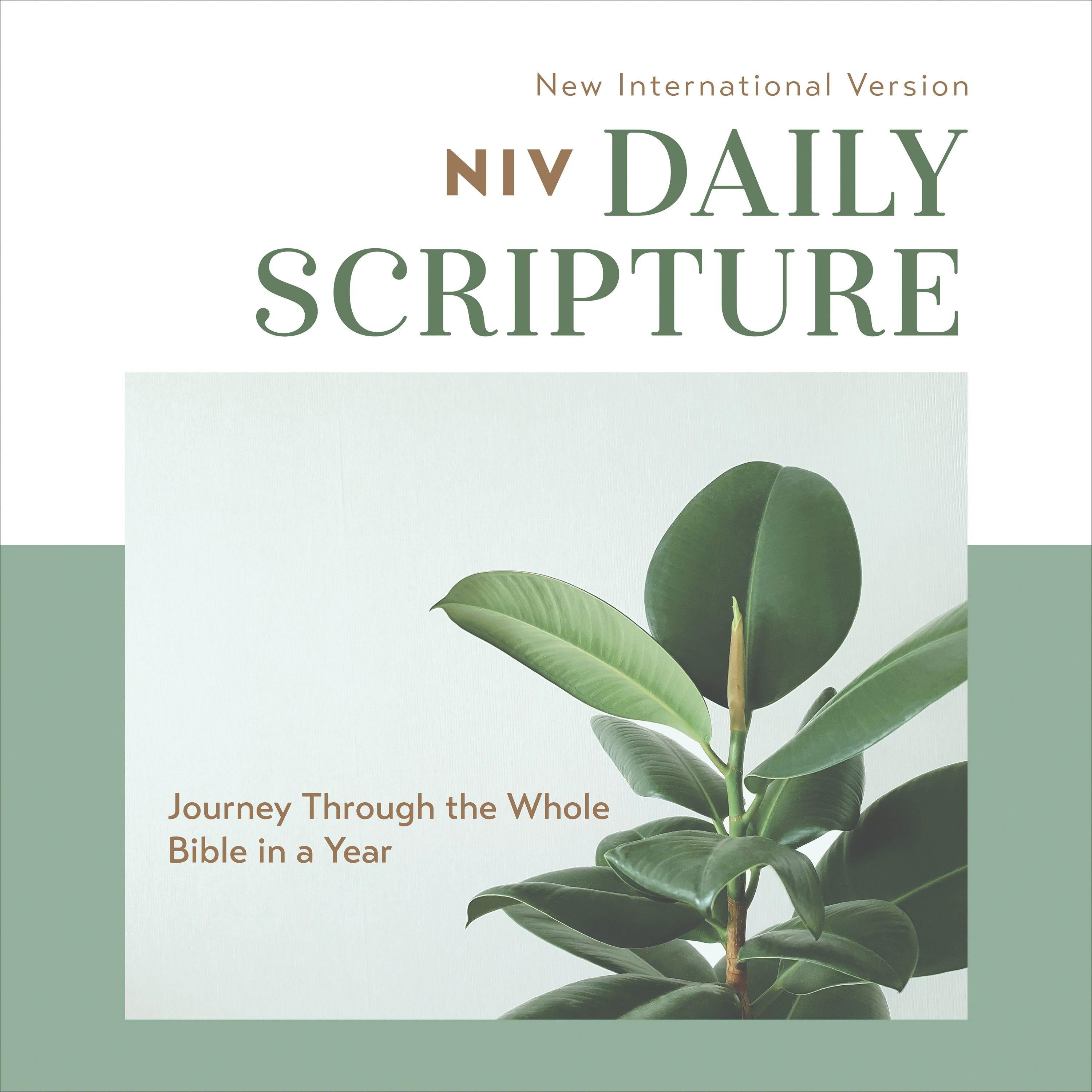 Daily Scripture Audio Bible---New International Version, NIV: Complete Bible