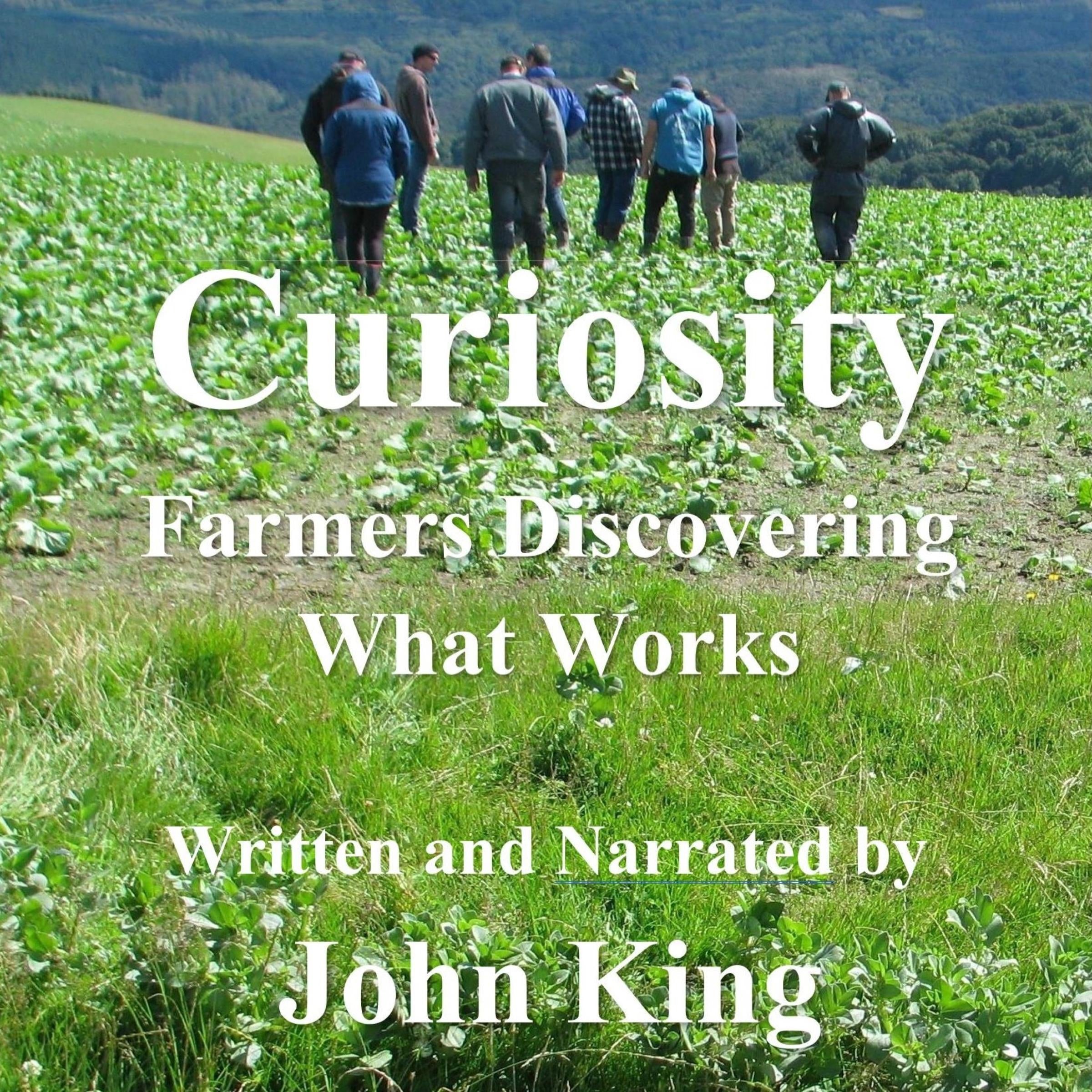 Curiosity