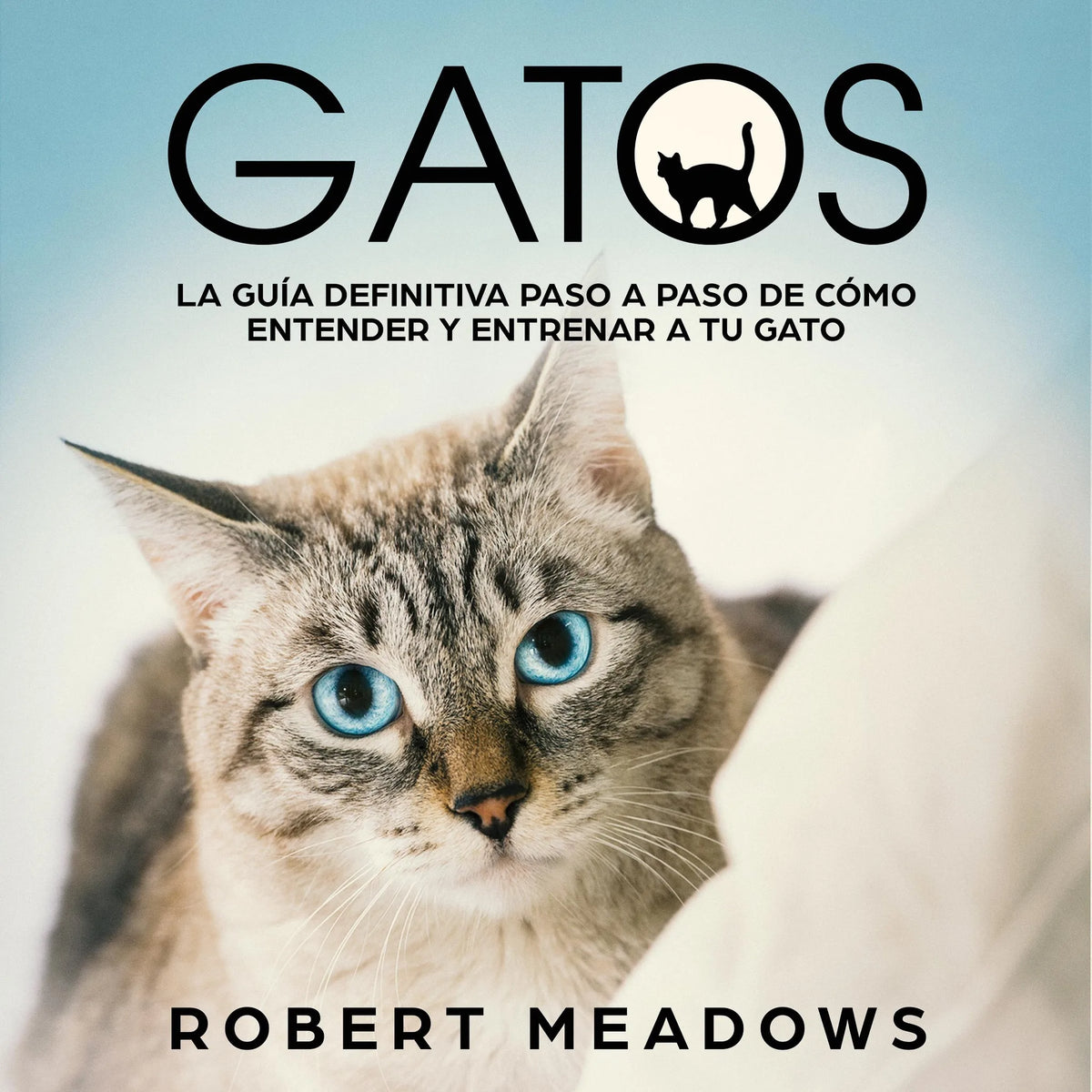Gatos