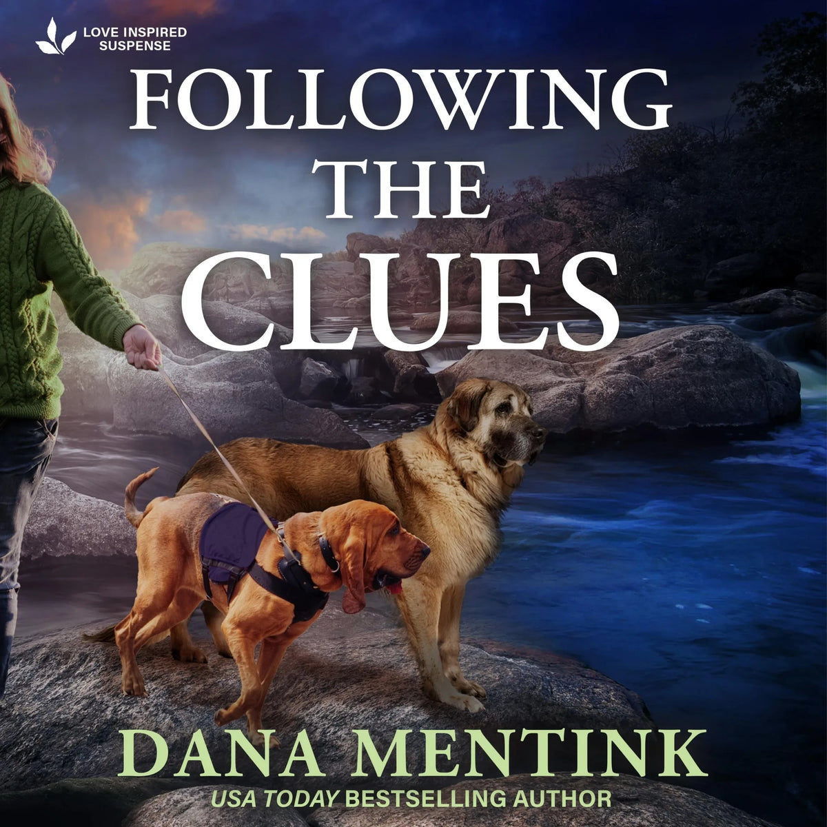 Following the Clues