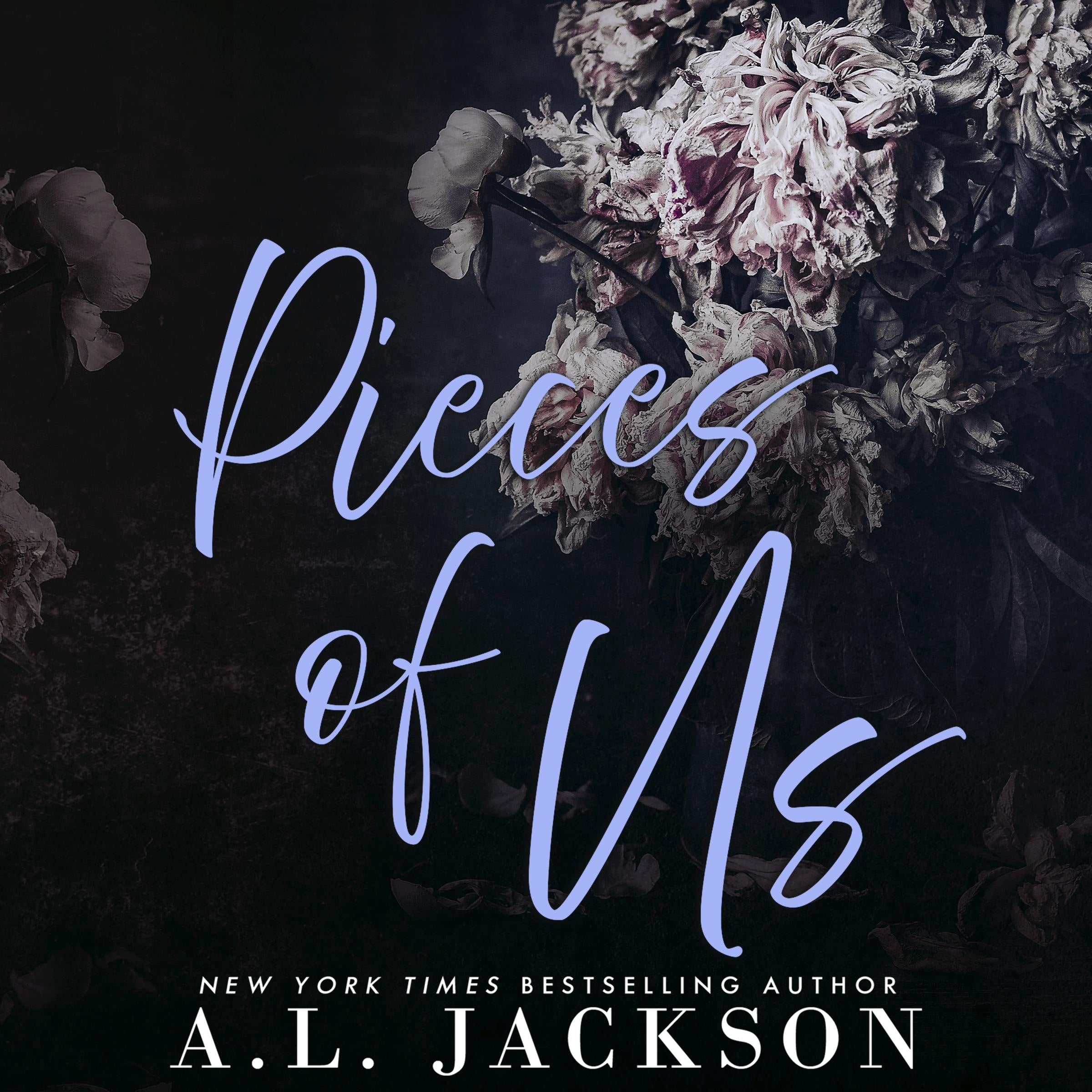 Pieces of Us