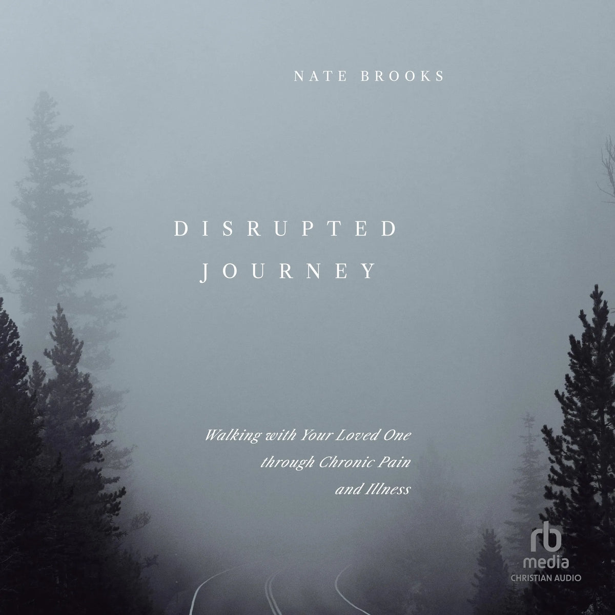 Disrupted Journey