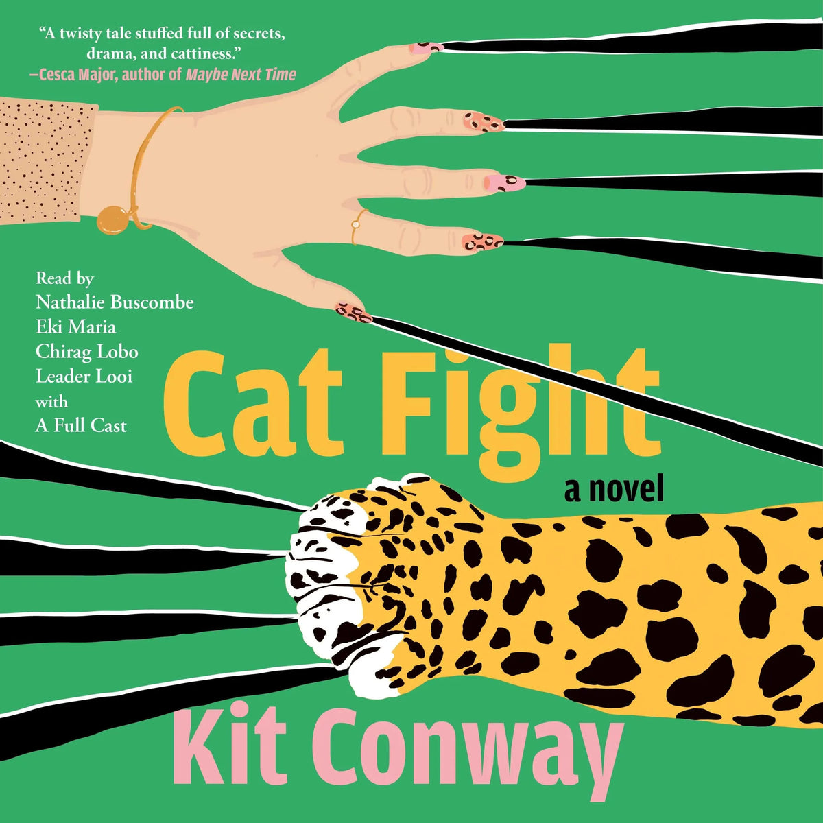 Cat Fight