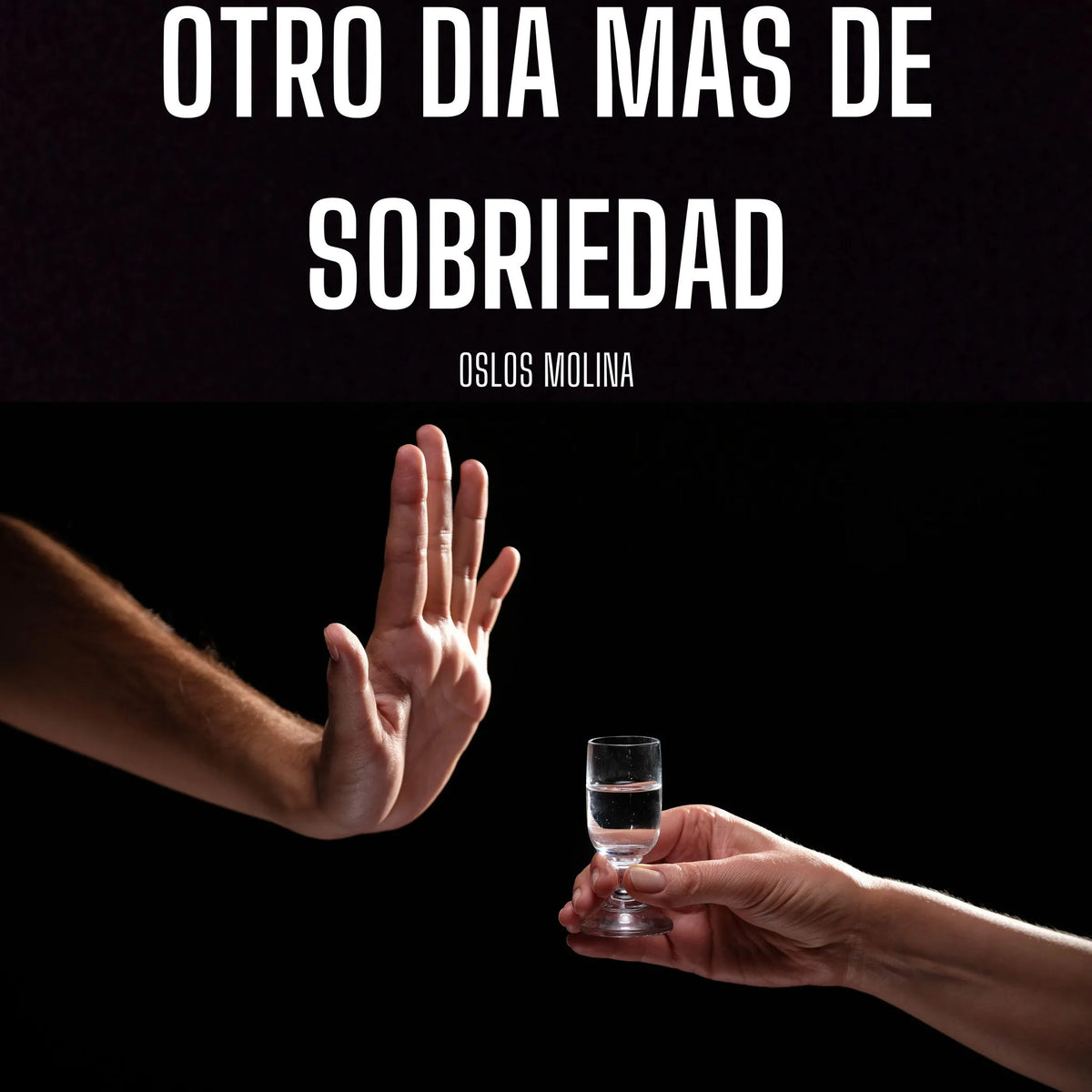 Otro Dia Mas De Sobriedad