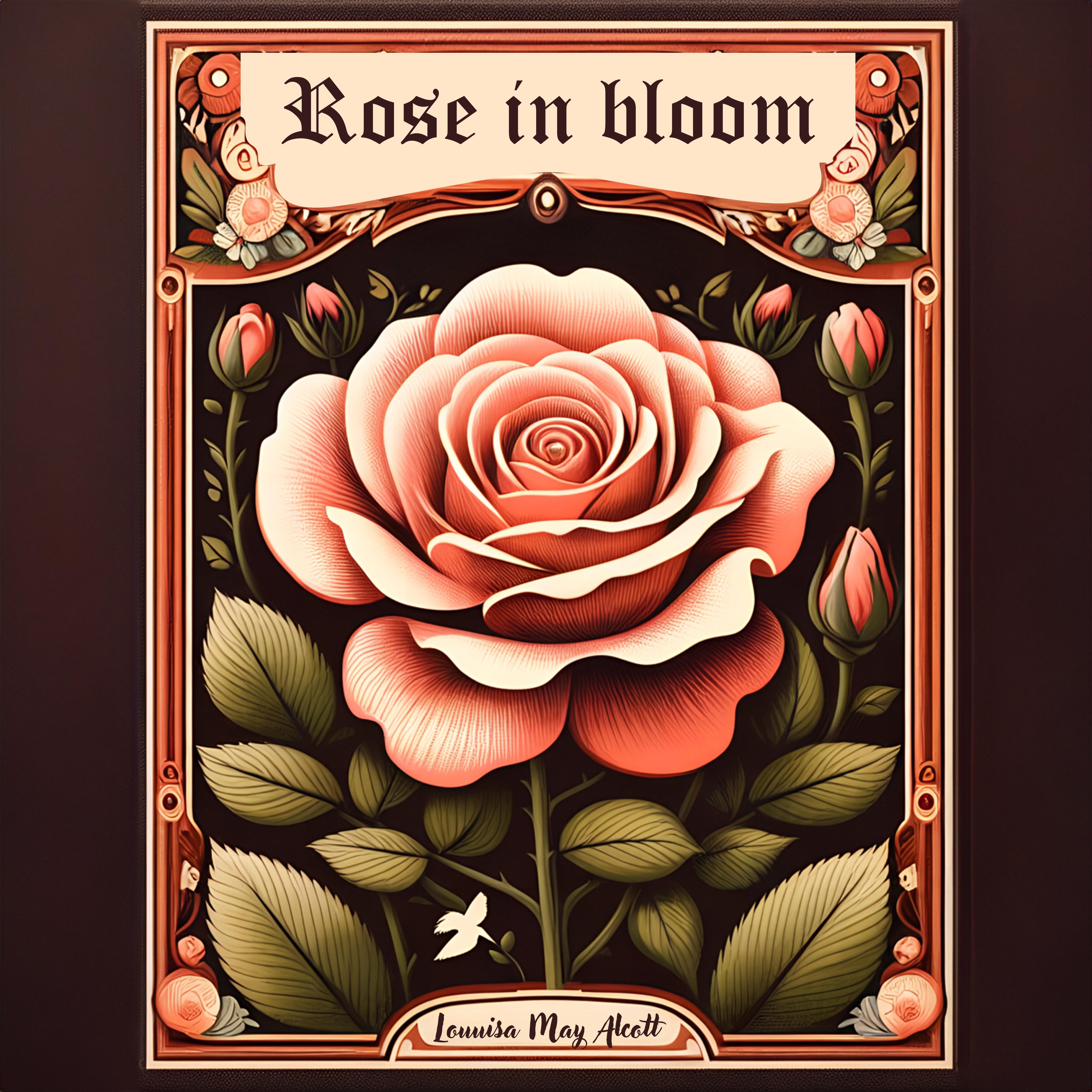 Rose in bloom