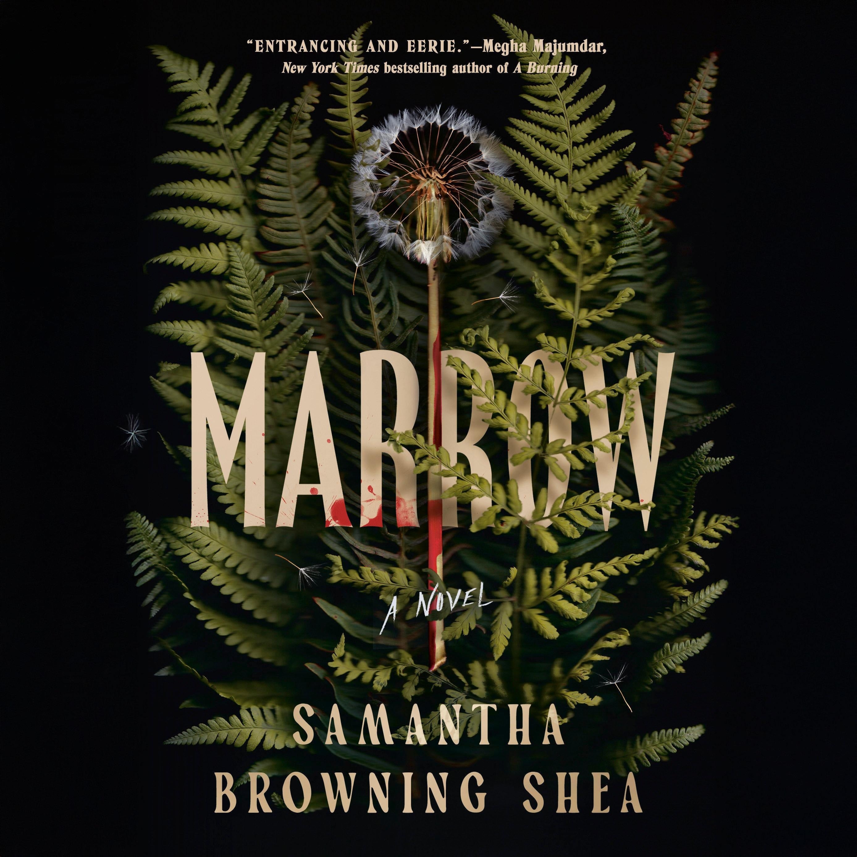 Marrow