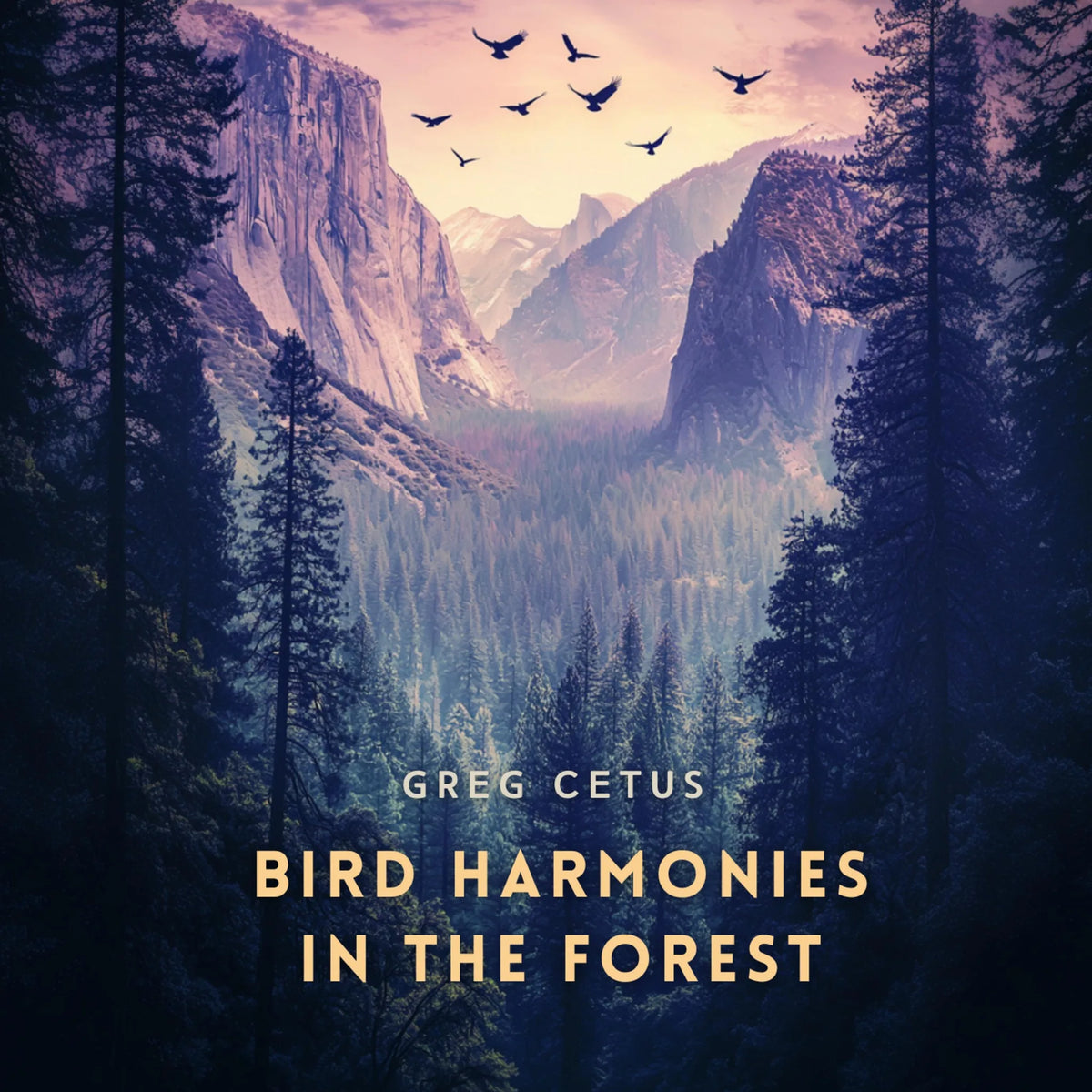 Bird Harmonies in the Forest: Nature's Sounds for Peace and Mindfulness