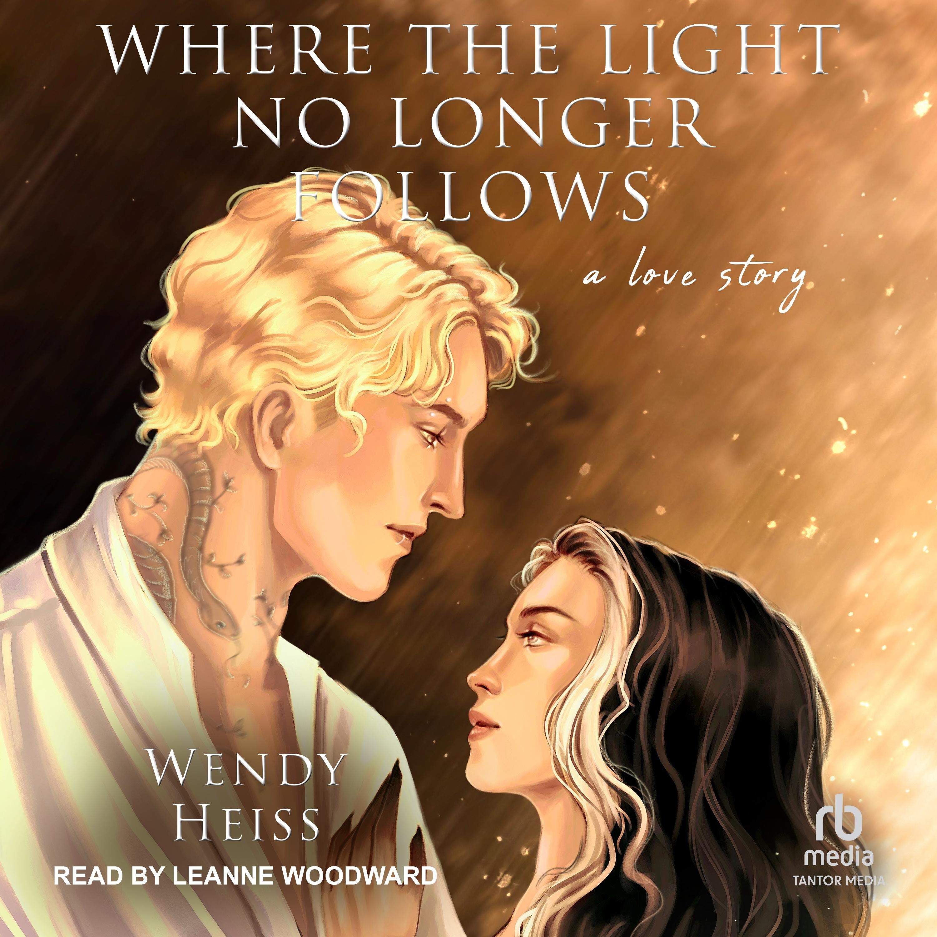 Where the Light No Longer Follows