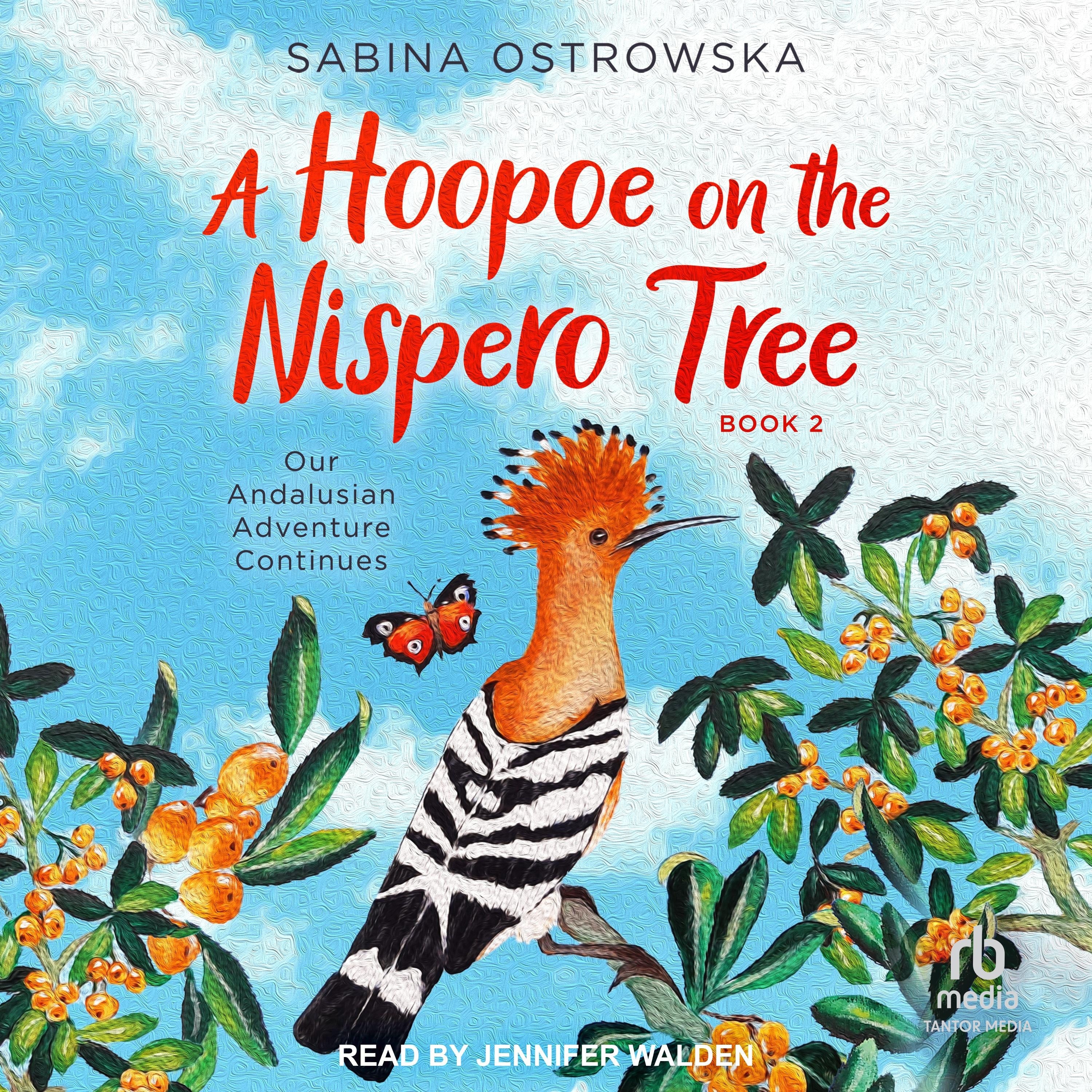 A Hoopoe on the Nispero Tree