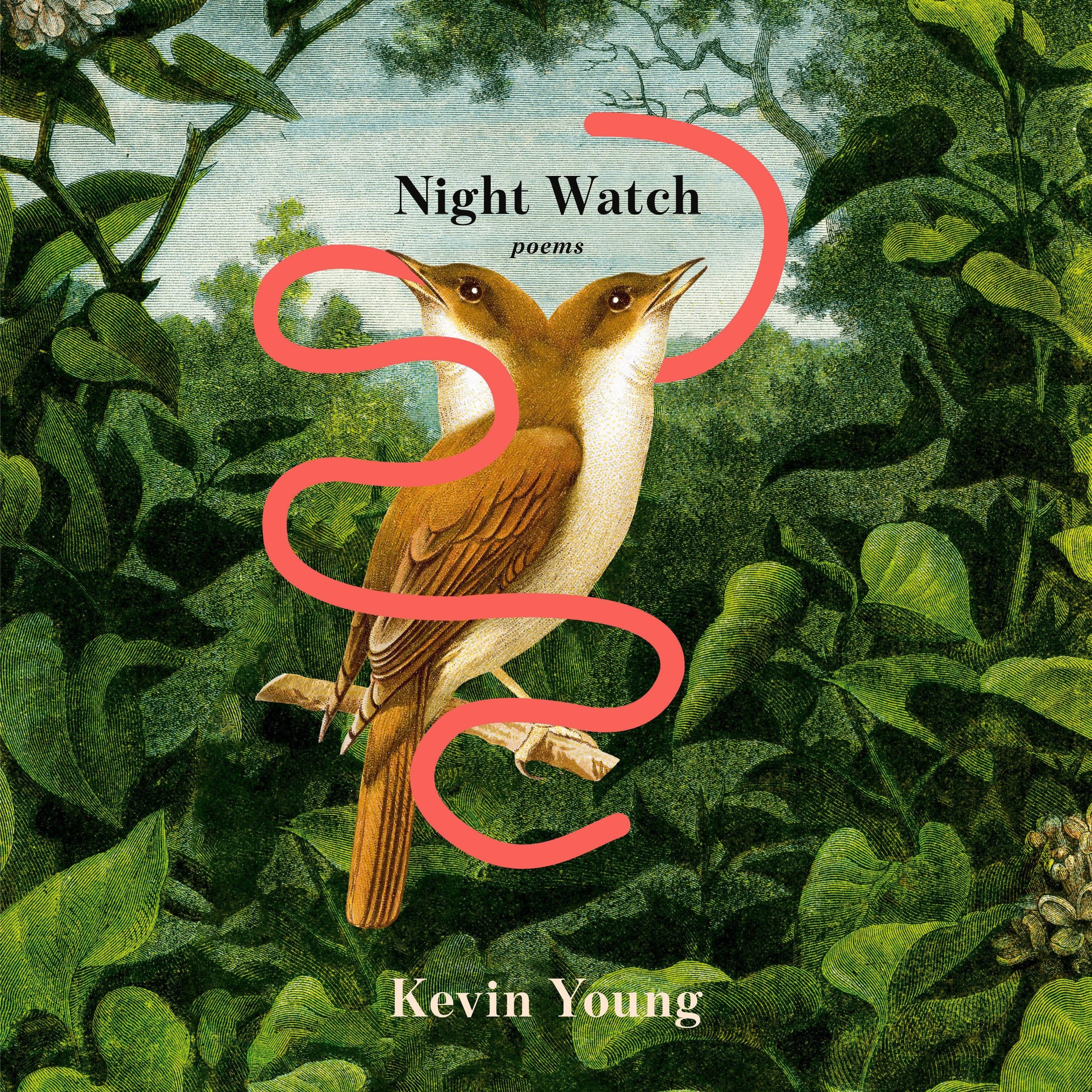 Night Watch