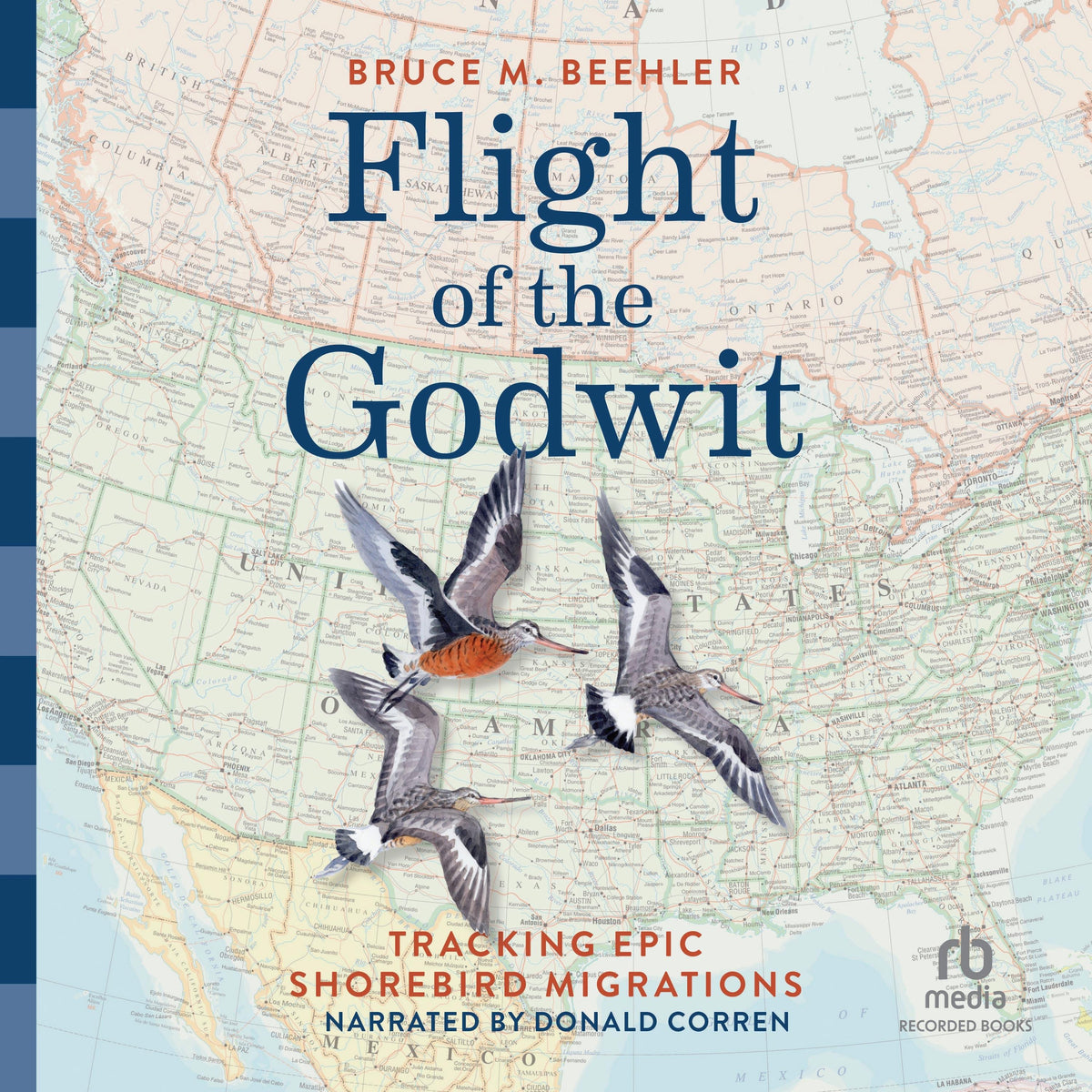 Flight of the Godwit