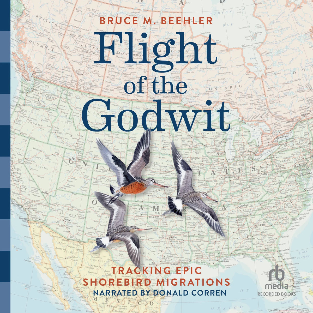 Flight of the Godwit