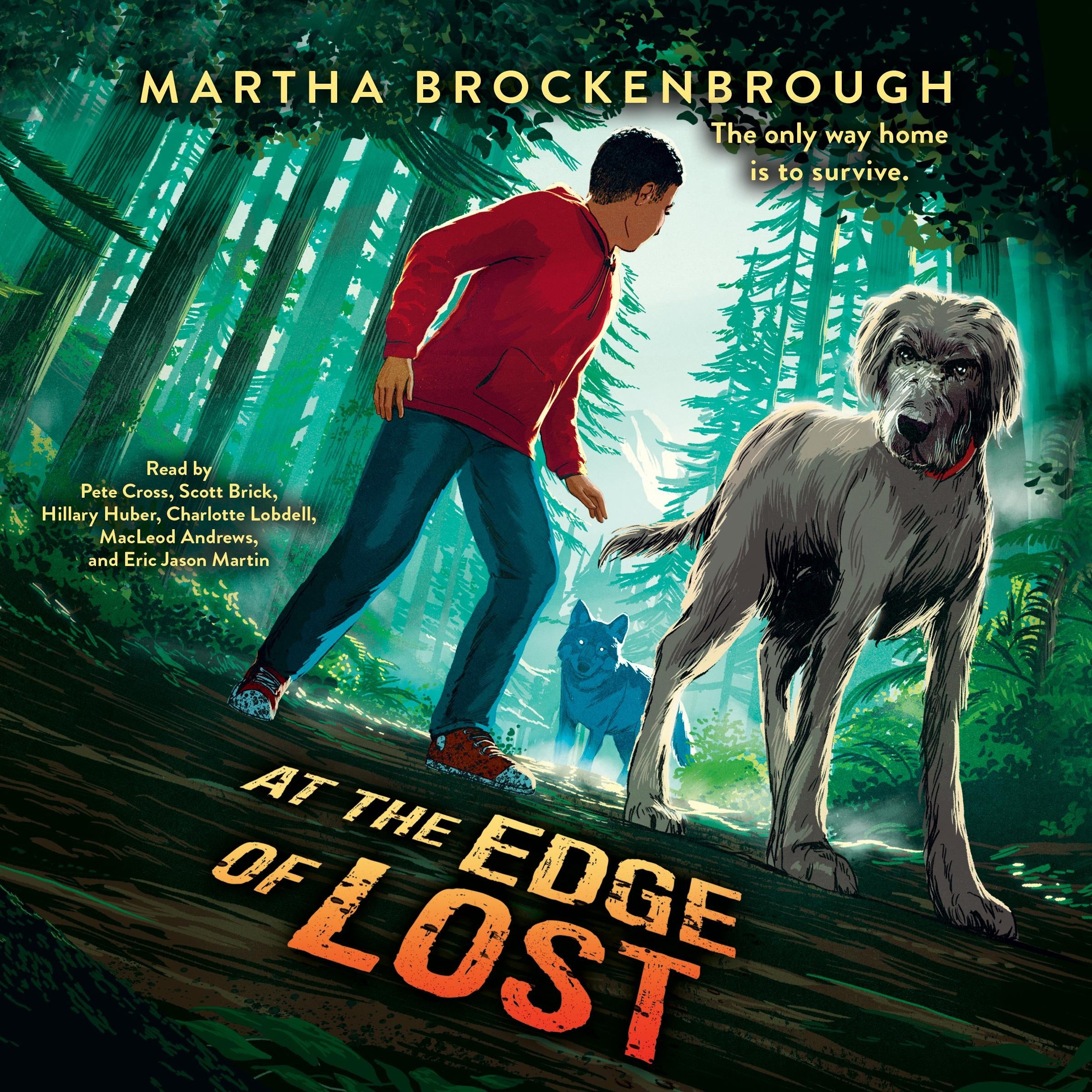 At the Edge of Lost