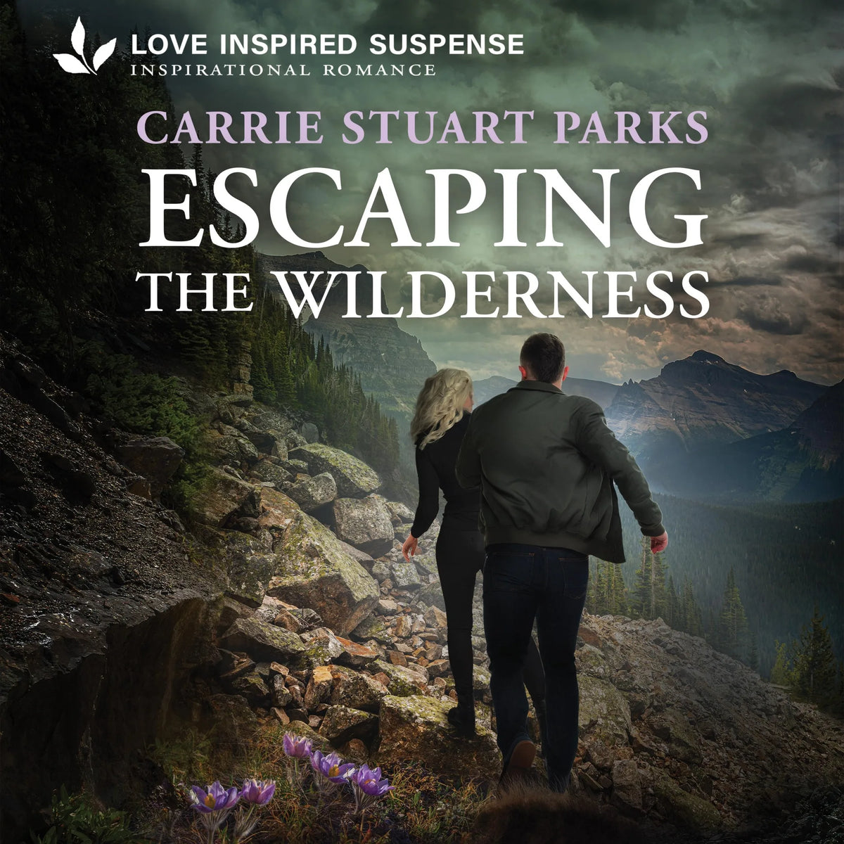 Escaping the Wilderness