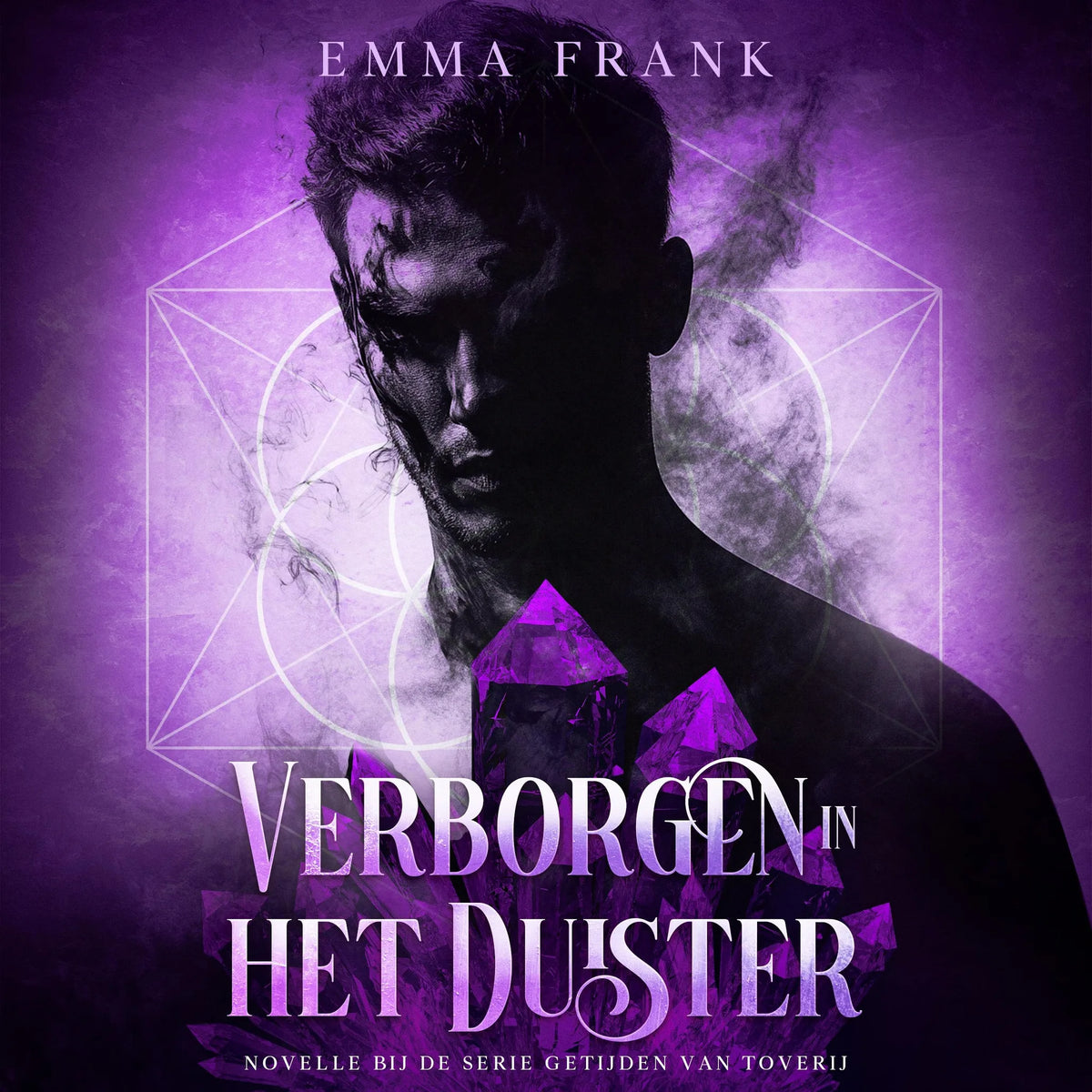Verborgen in het Duister