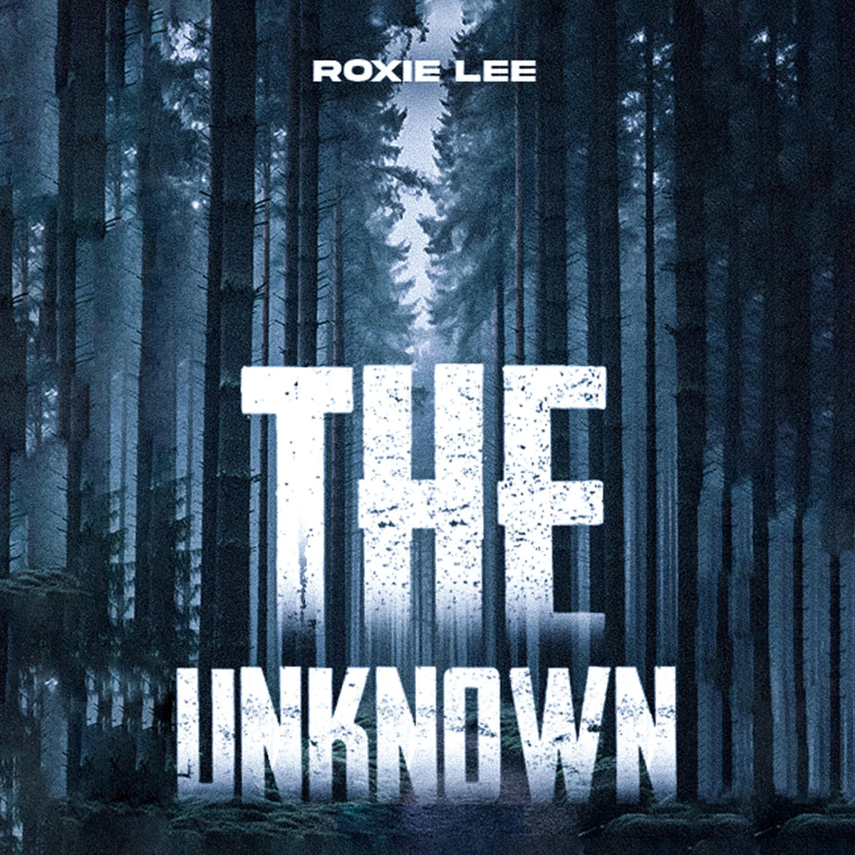 The Unknown