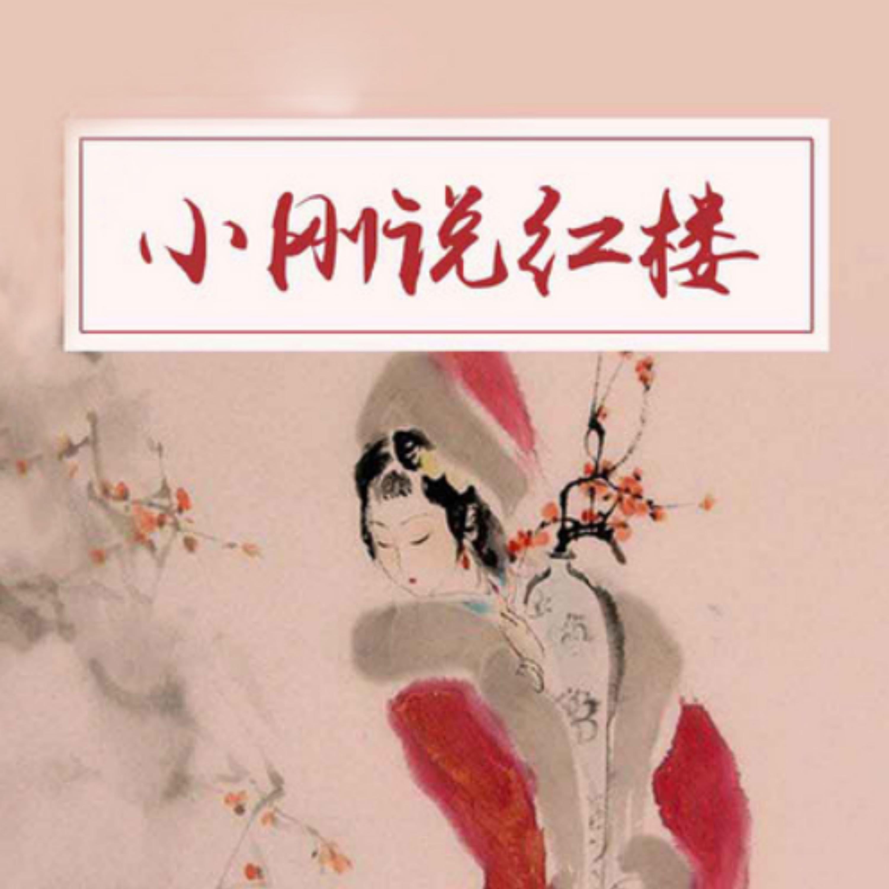 小刚说红楼
