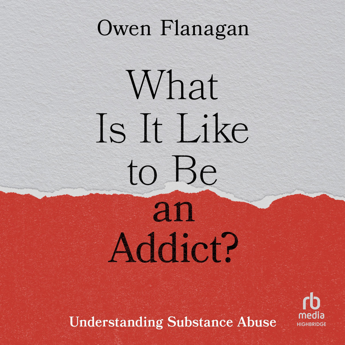 What Is It Like to Be an Addict?