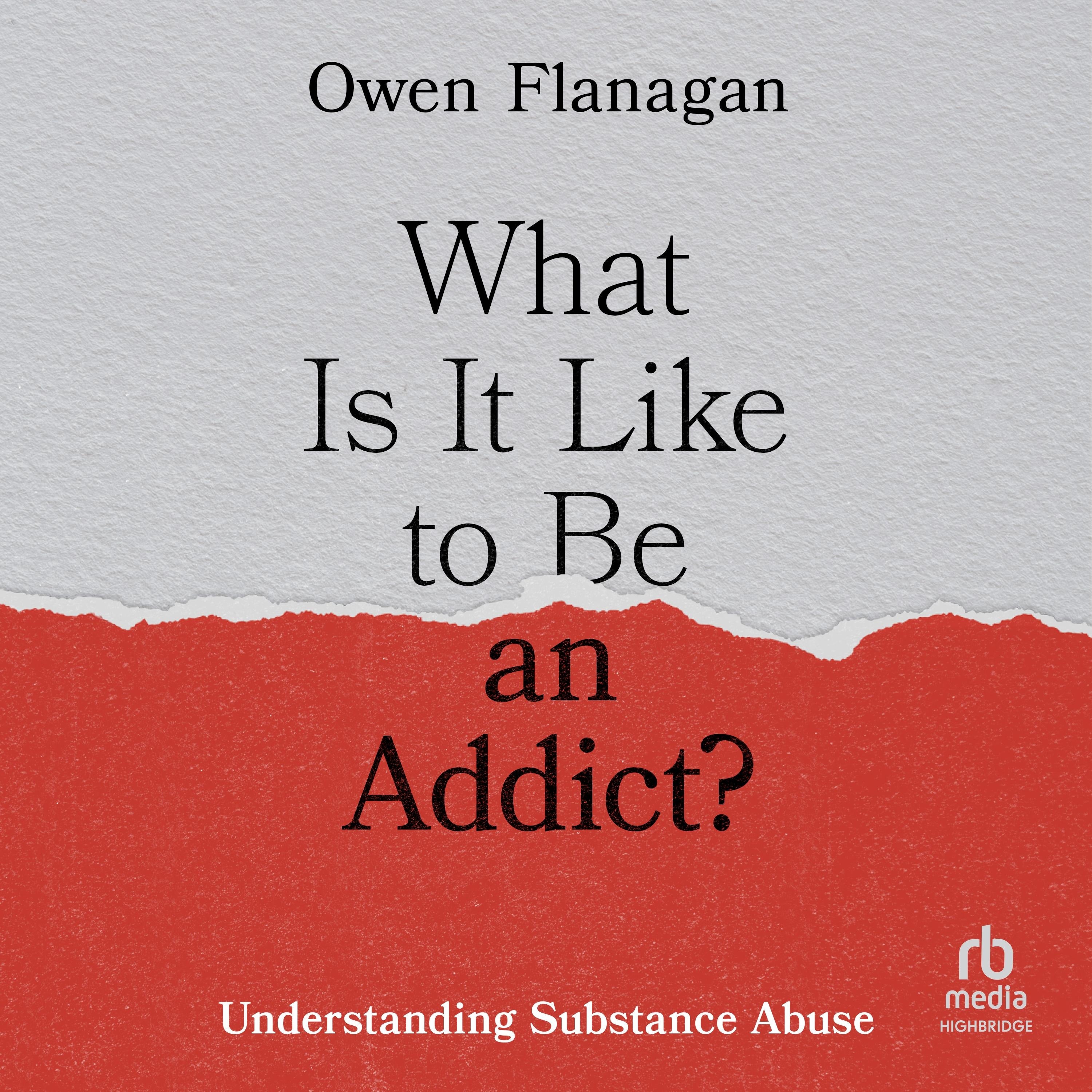 What Is It Like to Be an Addict?