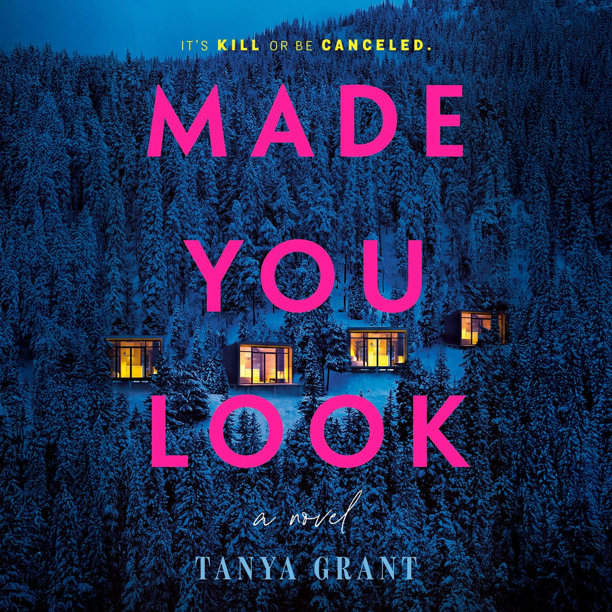 Made You Look