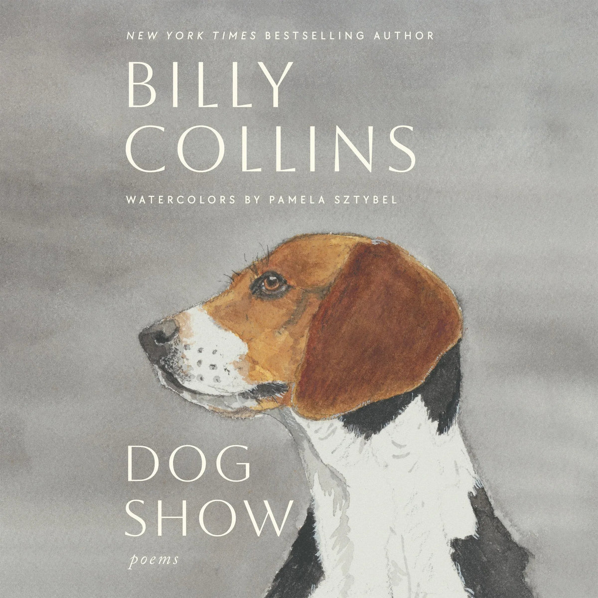 Dog Show