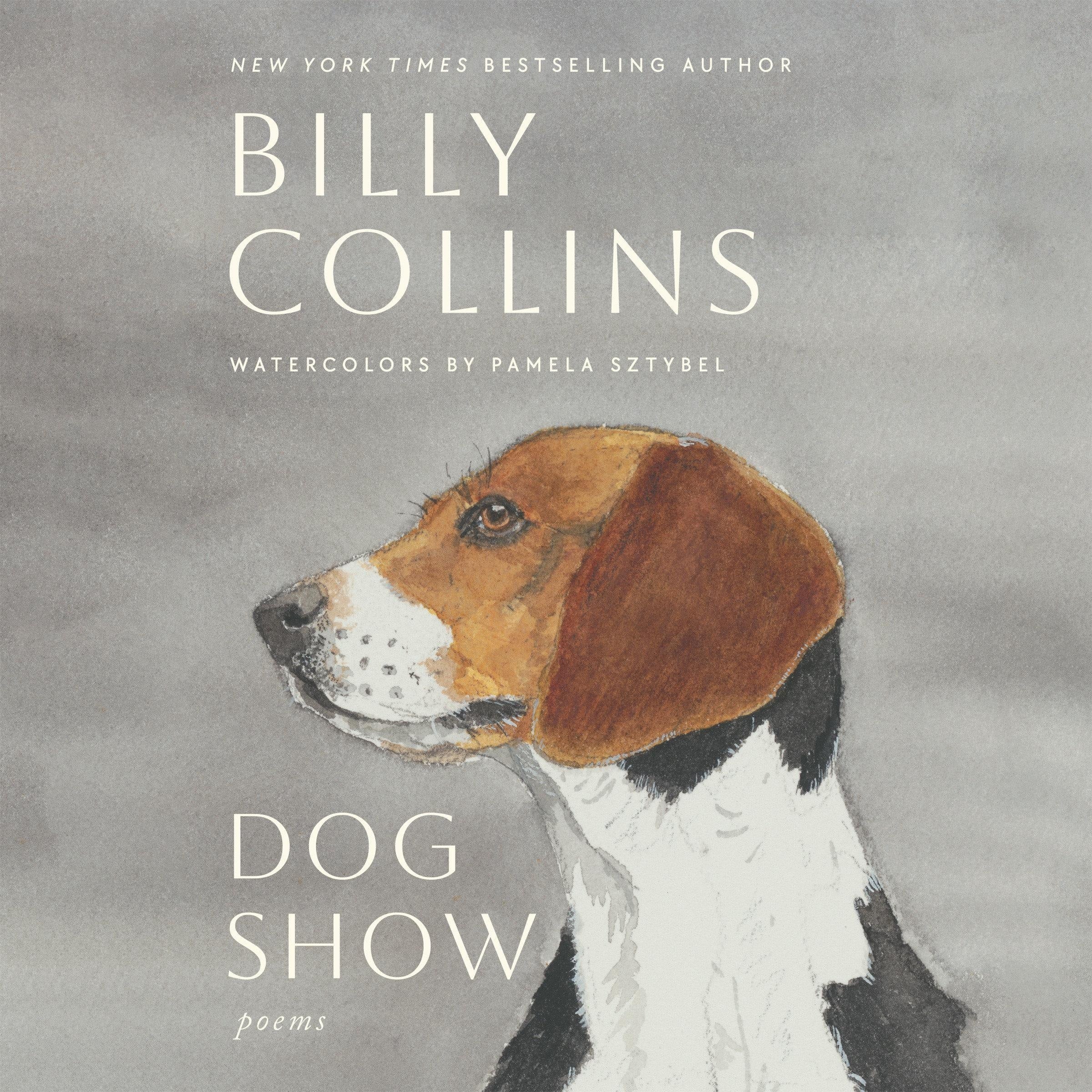 Dog Show