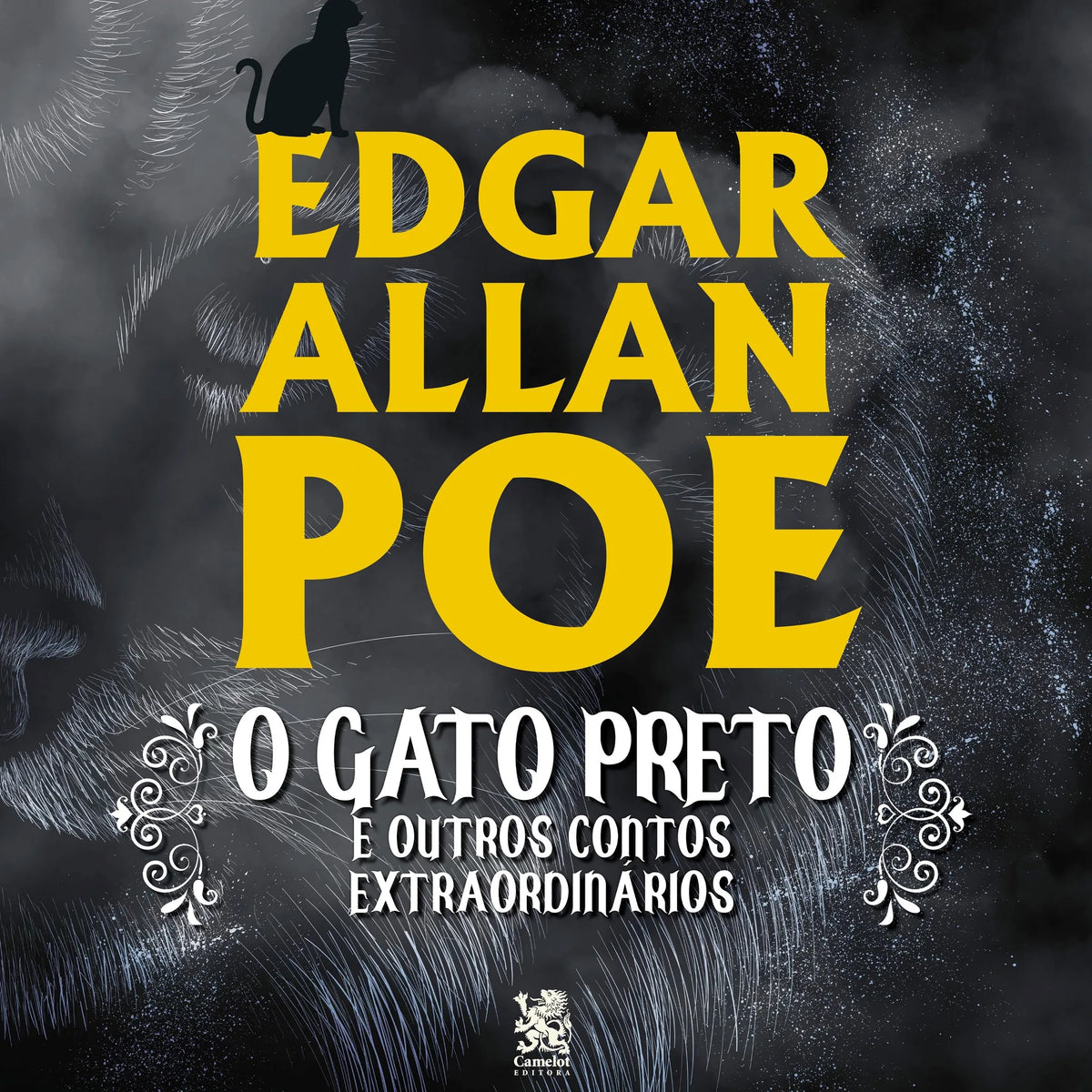 O Gato Preto e Outros Contos Extraordinários