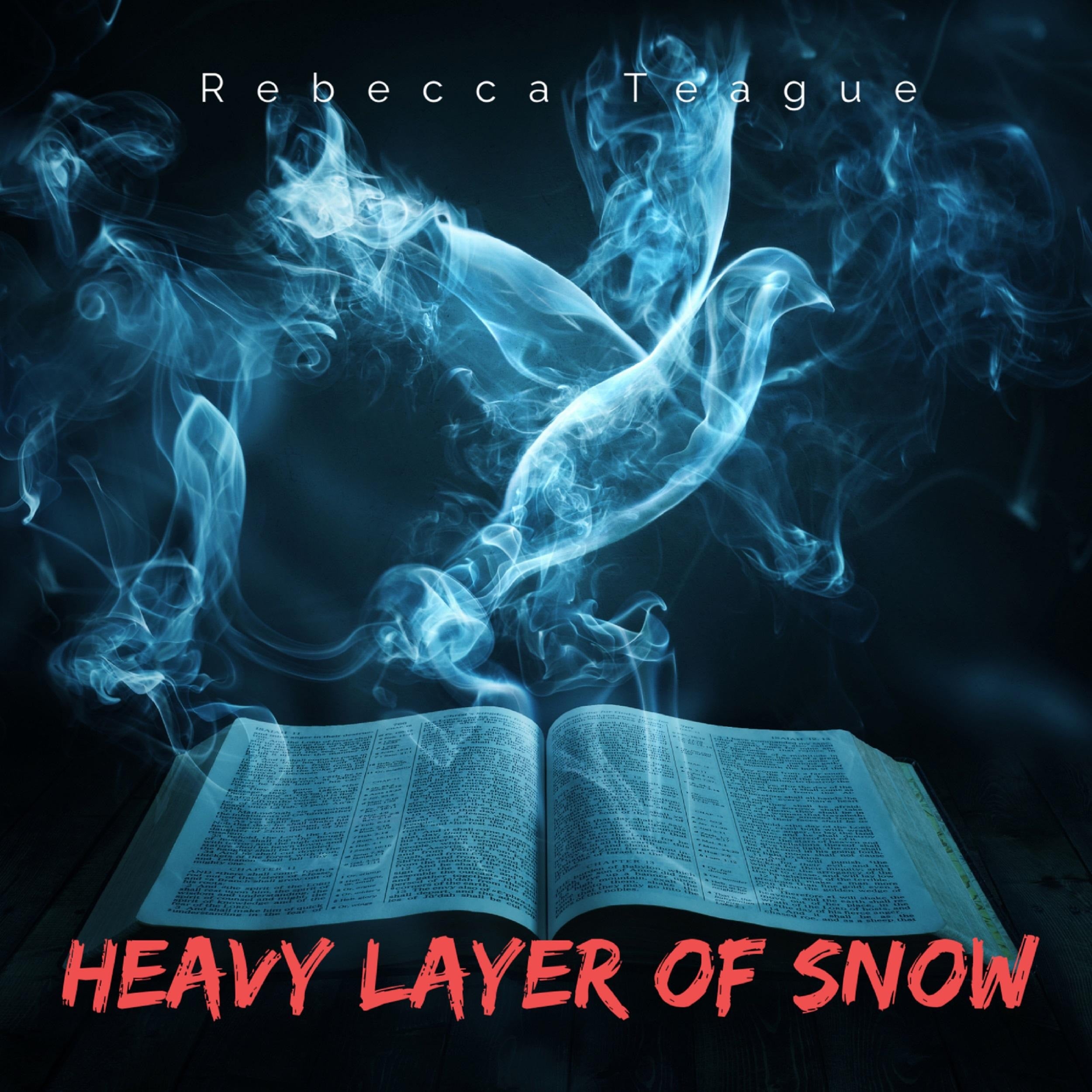 Heavy Layer of Snow